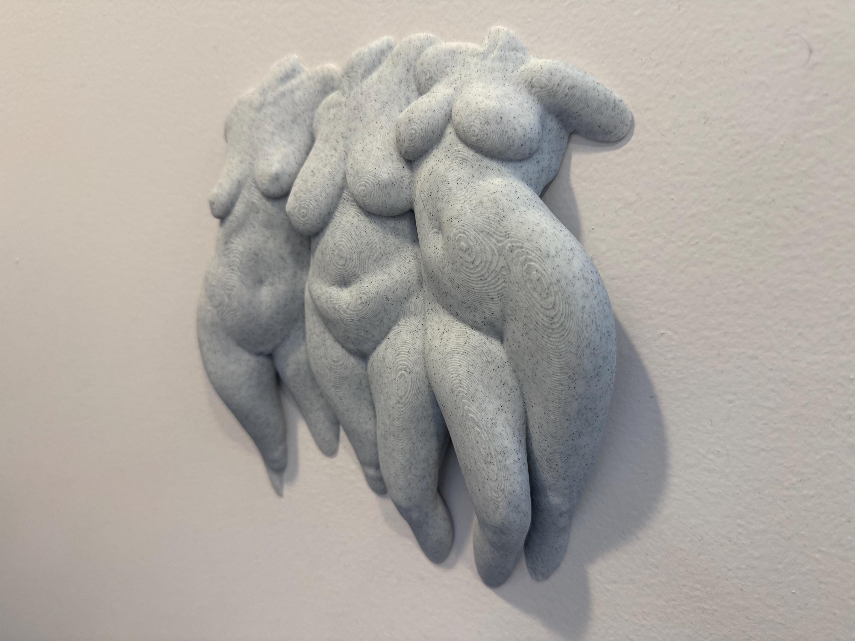 Abstract Body Sculpture | Modern Feminine Wall Art | Discreet Packaging