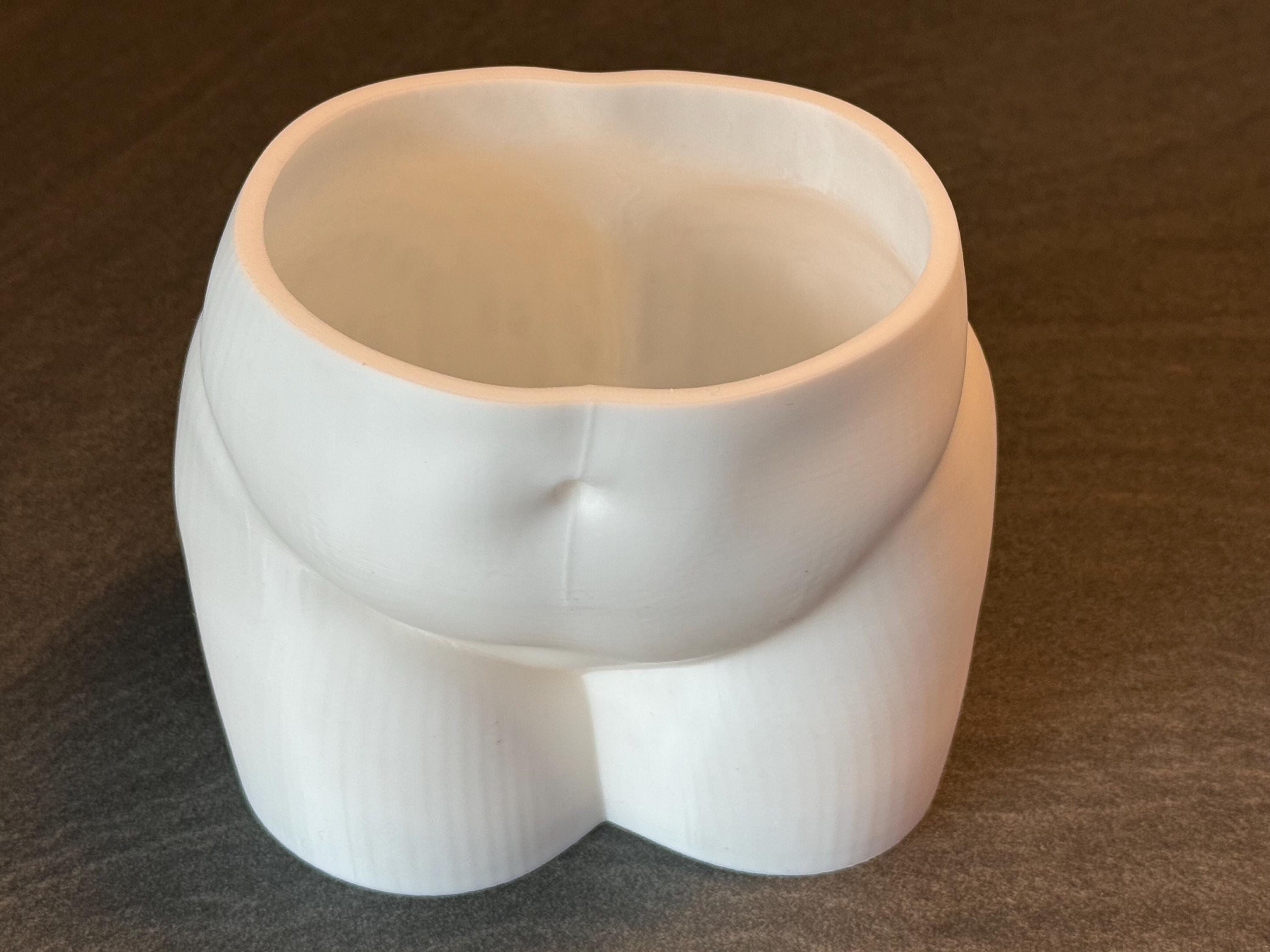 Funny Booty Planter | Butt Vase or Succulent Pot | Modern Home Decor | Discreet Packaging