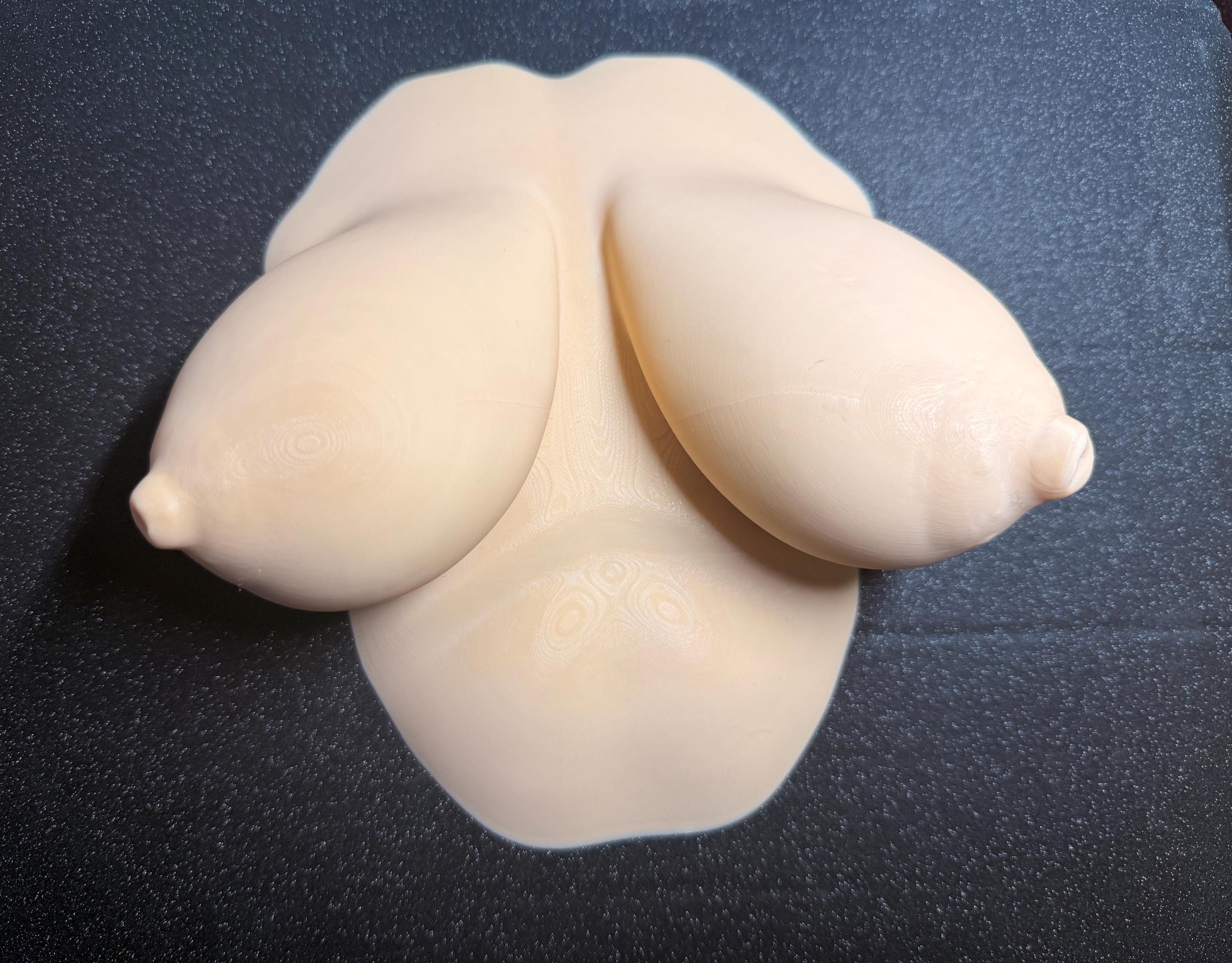 3D Printed Torso Wall Sculpture | Modern Body Positive Art, Medium | Discreet Packaging