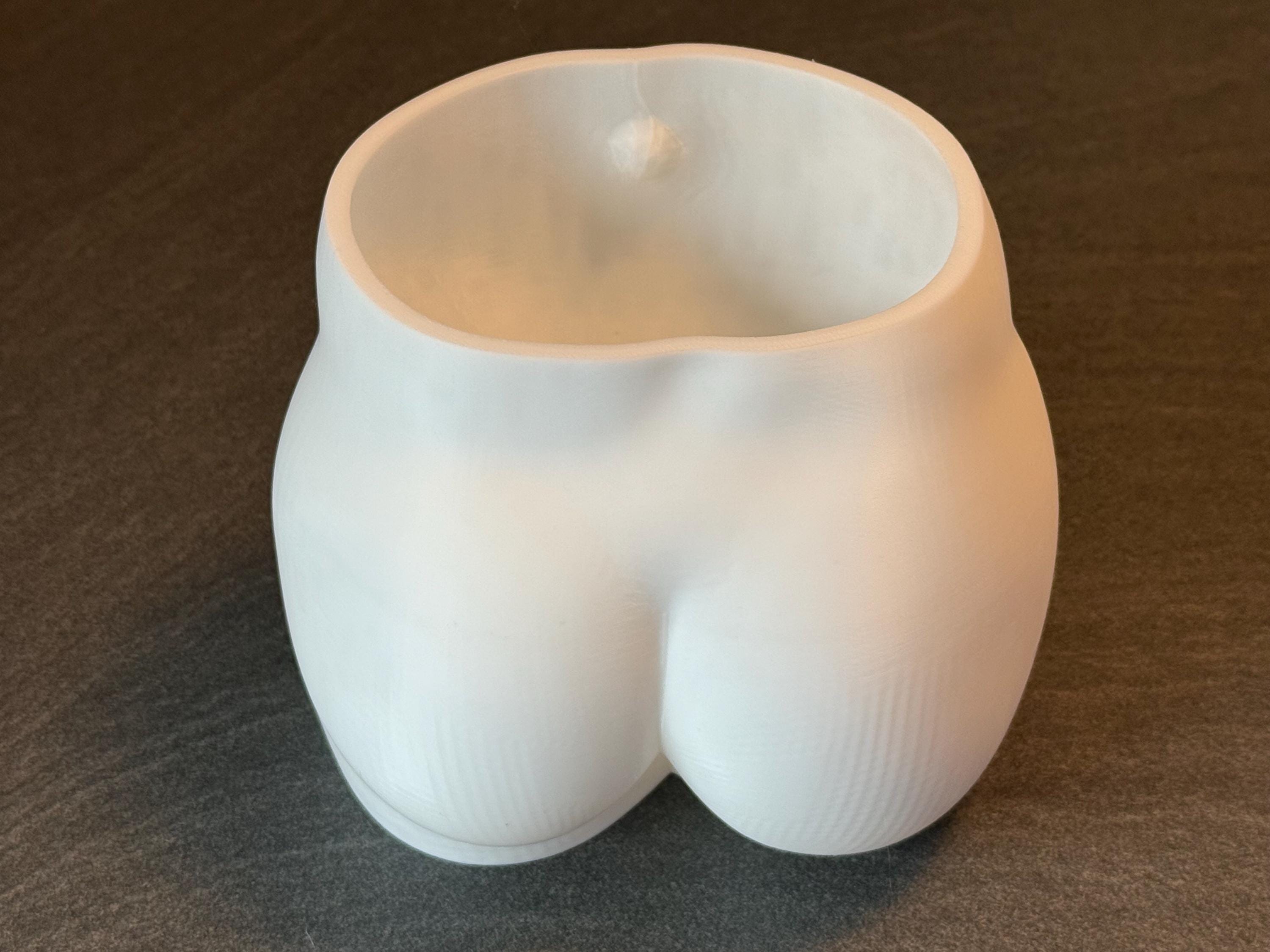 Funny Booty Planter | Butt Vase or Succulent Pot | Modern Home Decor | Discreet Packaging