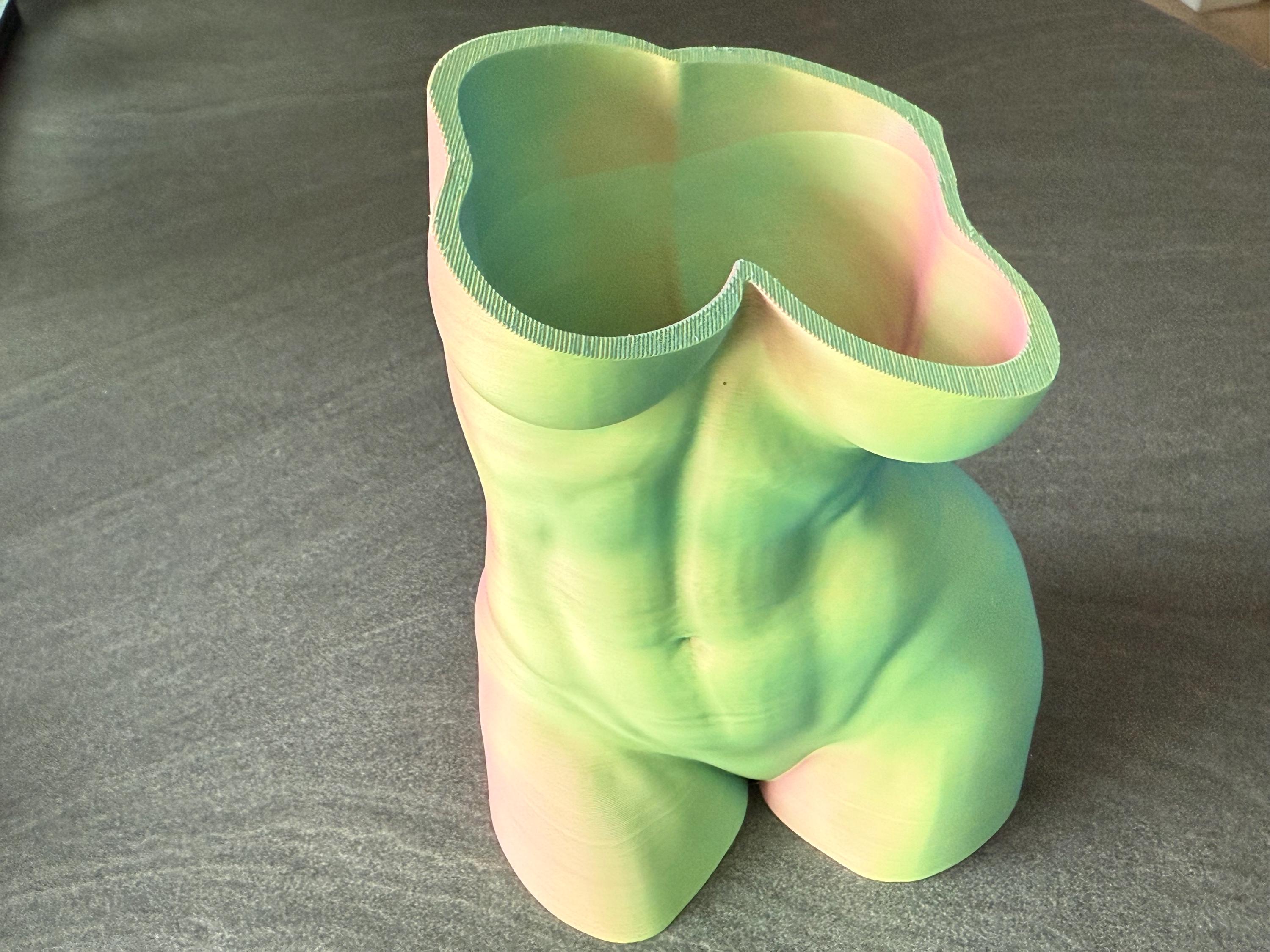 Modern Torso Planter | Body Vase for Succulents or Cacti | Artistic Home Decor | Discreet Packaging