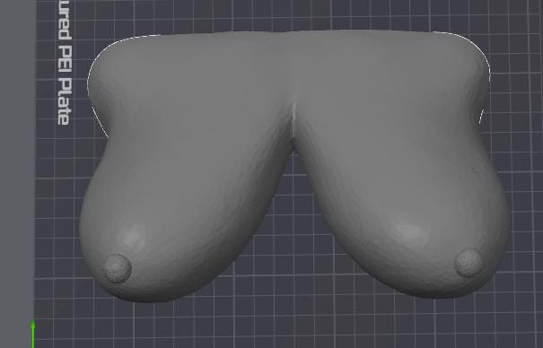 Customized 3d Printed Chest Wall Sculpture | Unique Body Art | Made to Order | Discreet Packaging