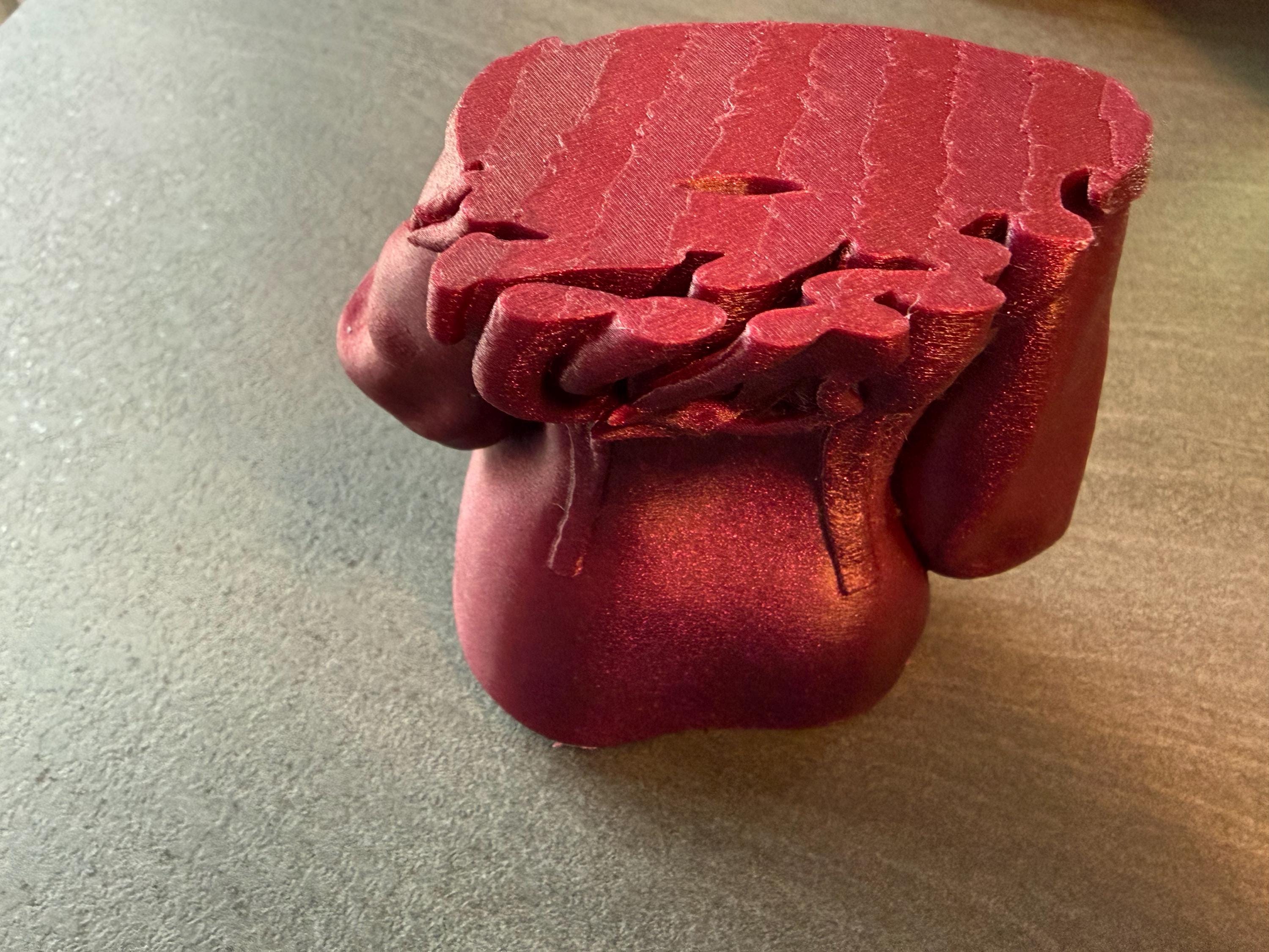 Modern Female Torso Sculpture | 3D Printed Body Form Art | Discreet Packaging