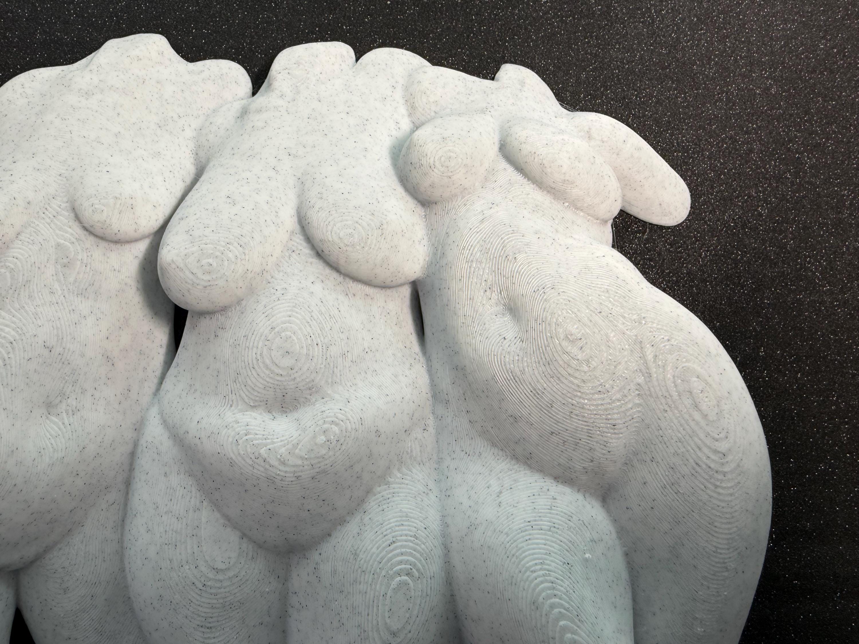 Abstract Body Sculpture | Modern Feminine Wall Art | Discreet Packaging