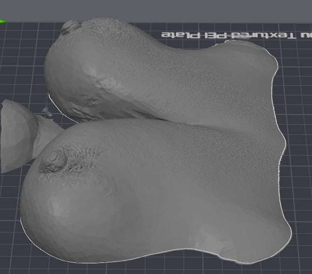 Customized 3d Printed Chest Wall Sculpture | Unique Body Art | Made to Order | Discreet Packaging