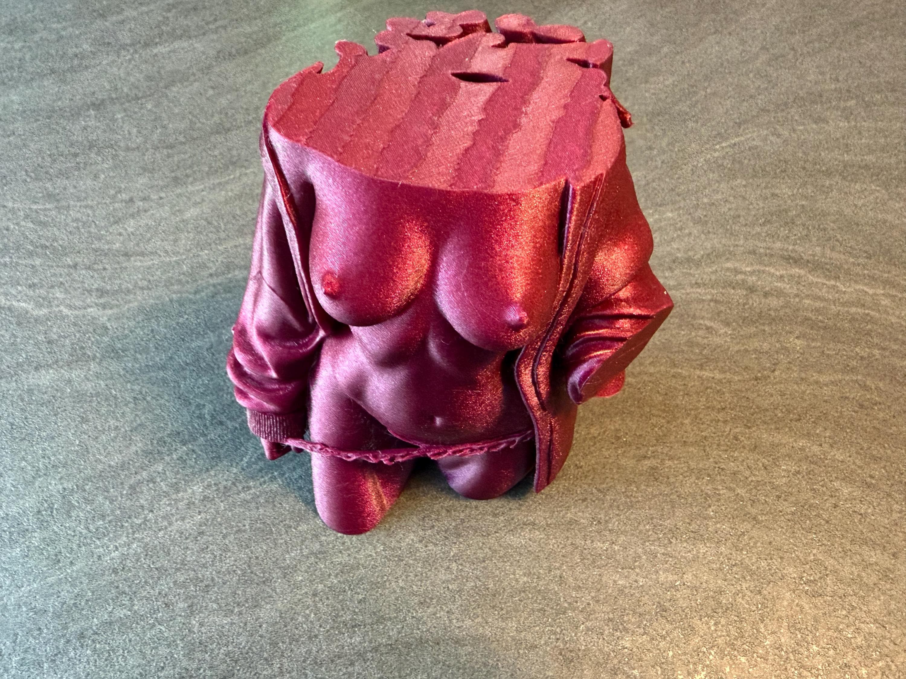 Modern Female Torso Sculpture | 3D Printed Body Form Art | Discreet Packaging