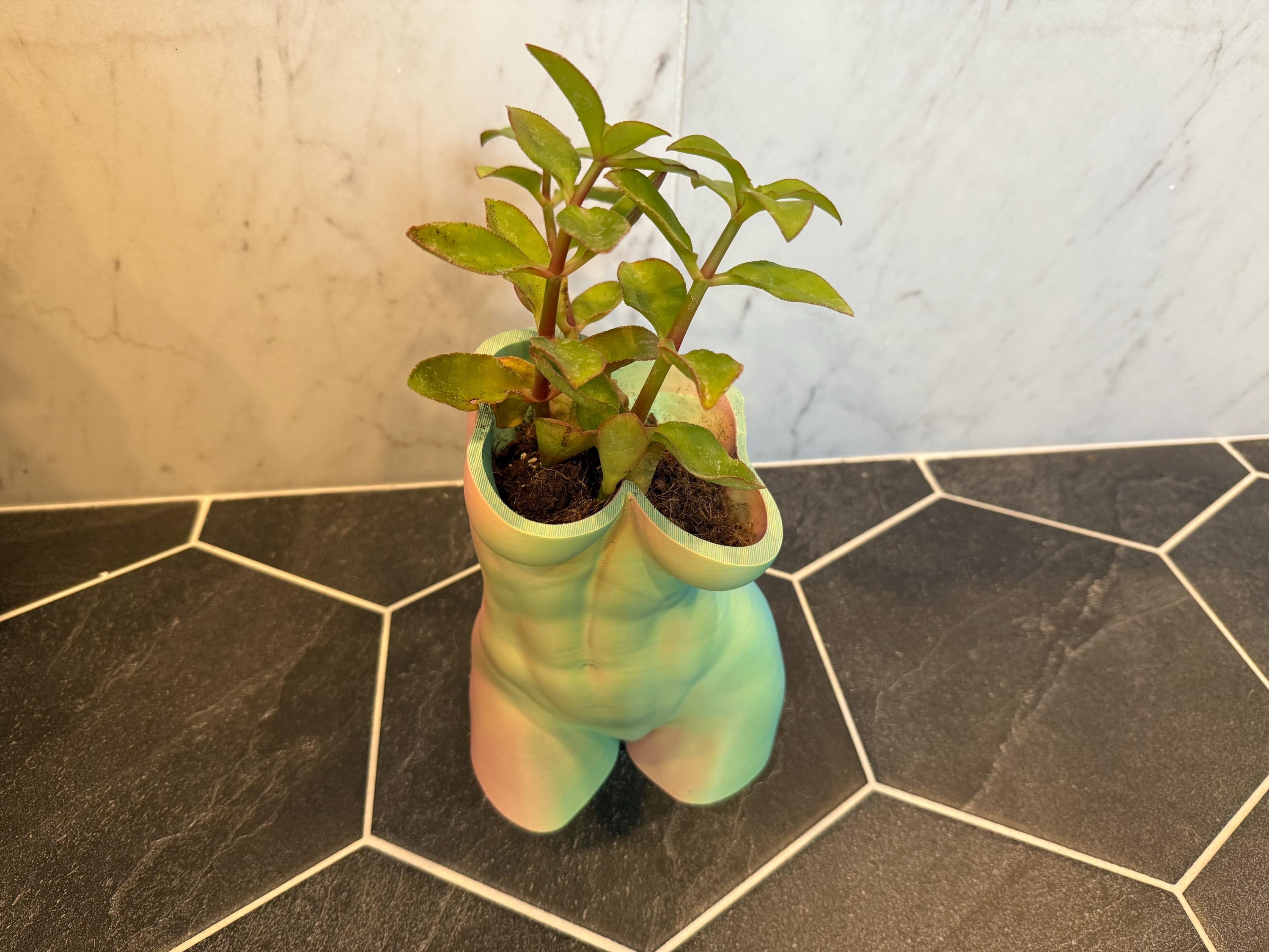 Planters