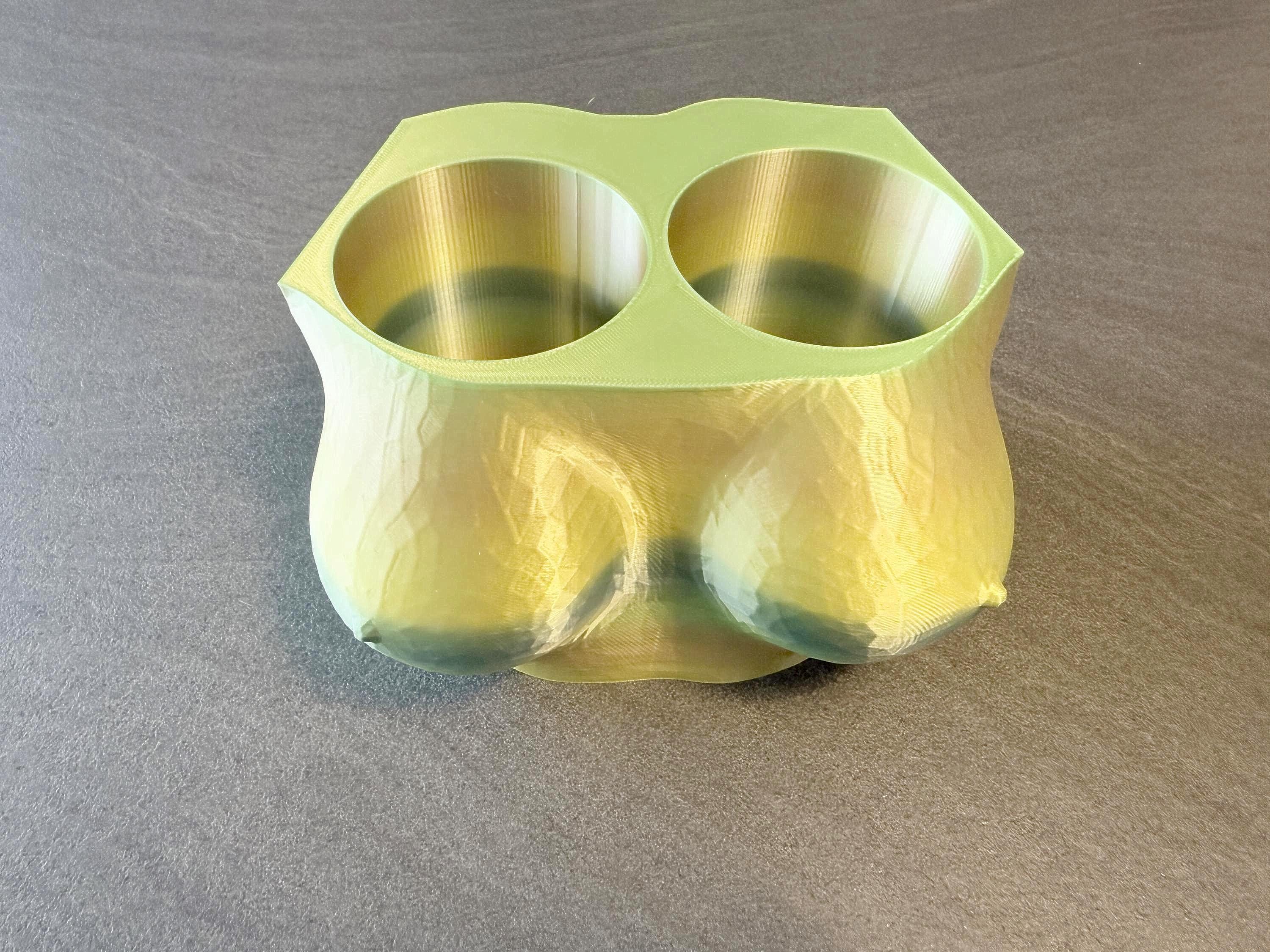 Funny Boob Planter | Handmade 3D Printed Body Plant Pot | Gift for Her | Bachelorette Decor | Discreet Packaging