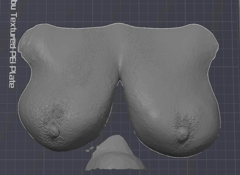 Customized 3d Printed Chest Wall Sculpture | Unique Body Art | Made to Order | Discreet Packaging