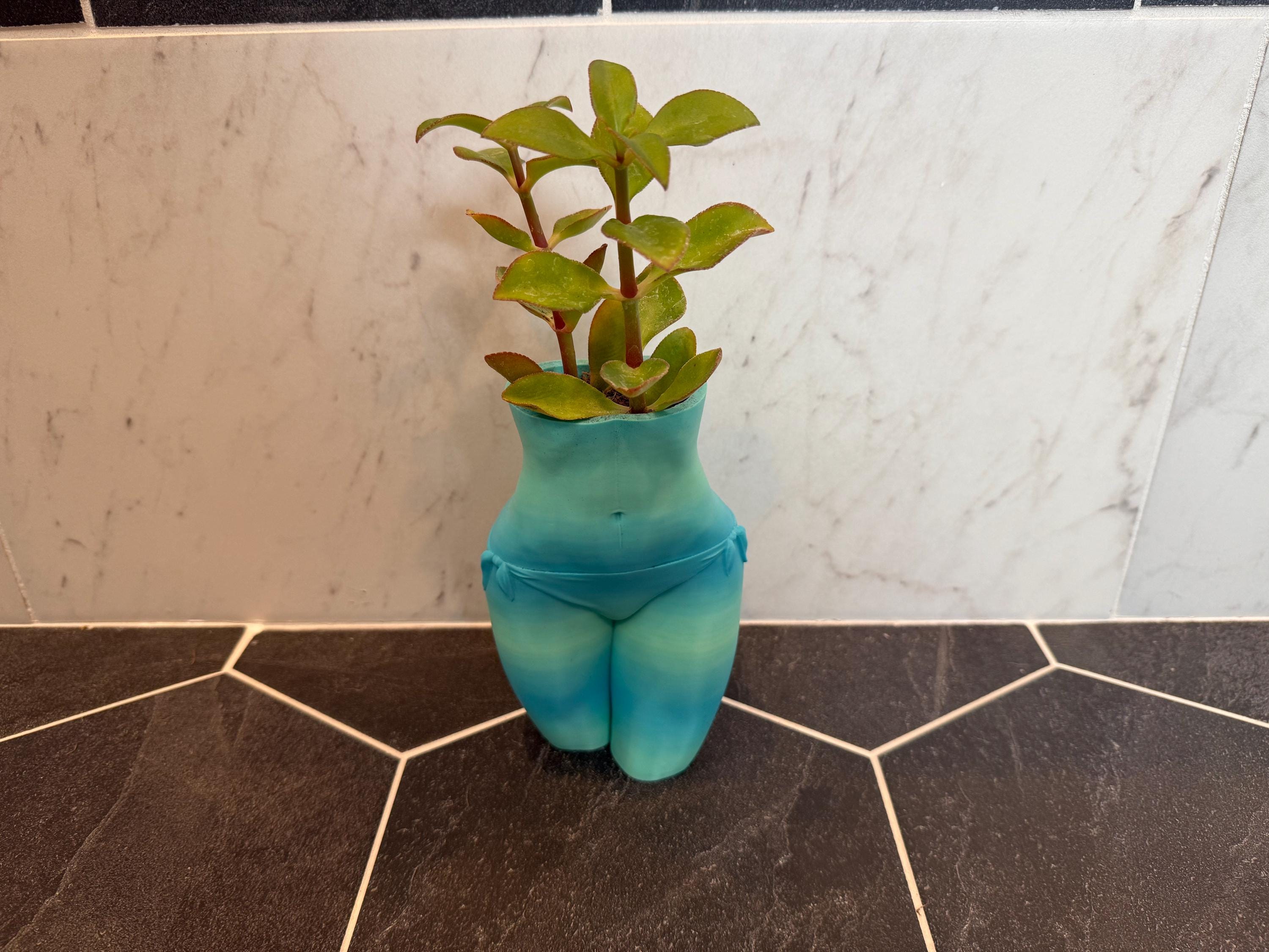 Bikini Torso Planter | Female Body Succulent Pot | Gift for Plant Lovers | Modern Home Decor