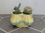 Funny Boob Planter | Handmade 3D Printed Body Plant Pot | Gift for Her | Bachelorette Decor | Discreet Packaging