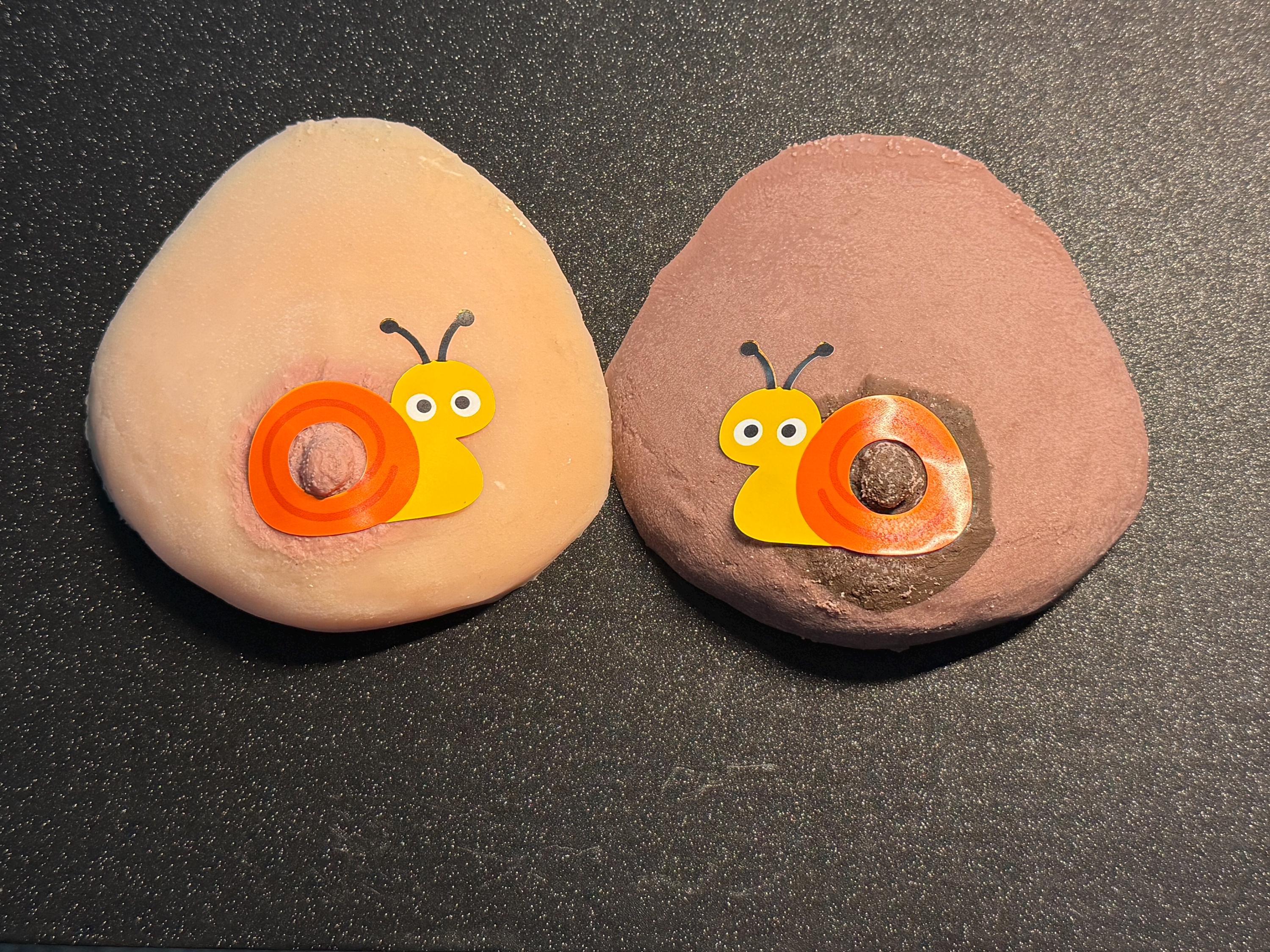 Snail Nipple Stickers | Quirky Pasties for Nature-Lovers | Pride | Parties | Discreet Packaging