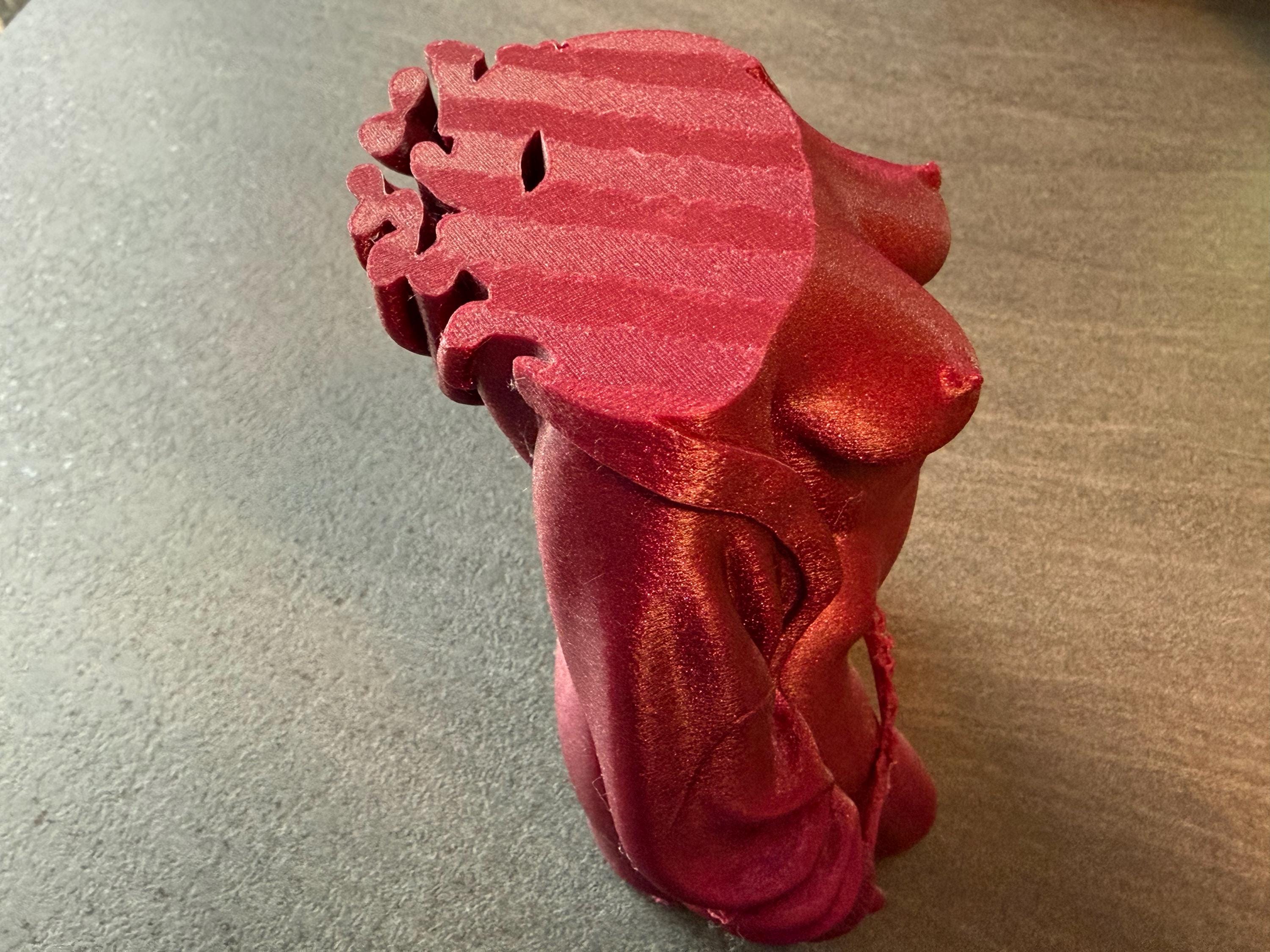 Modern Female Torso Sculpture | 3D Printed Body Form Art | Discreet Packaging