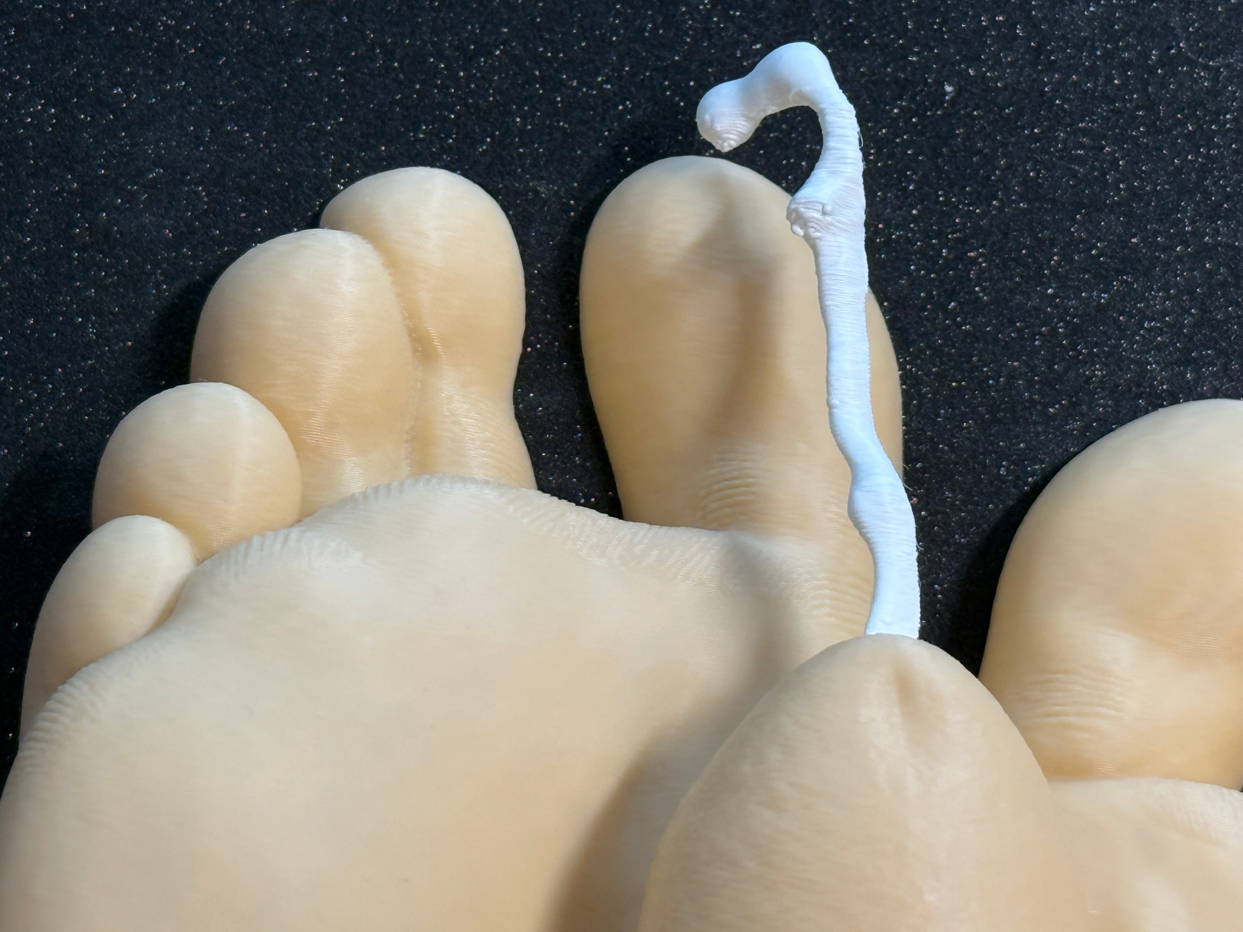Novelty Foot Wall Sculpture | Artistic Statement Decor (7" Display Piece) | Discreet Packaging