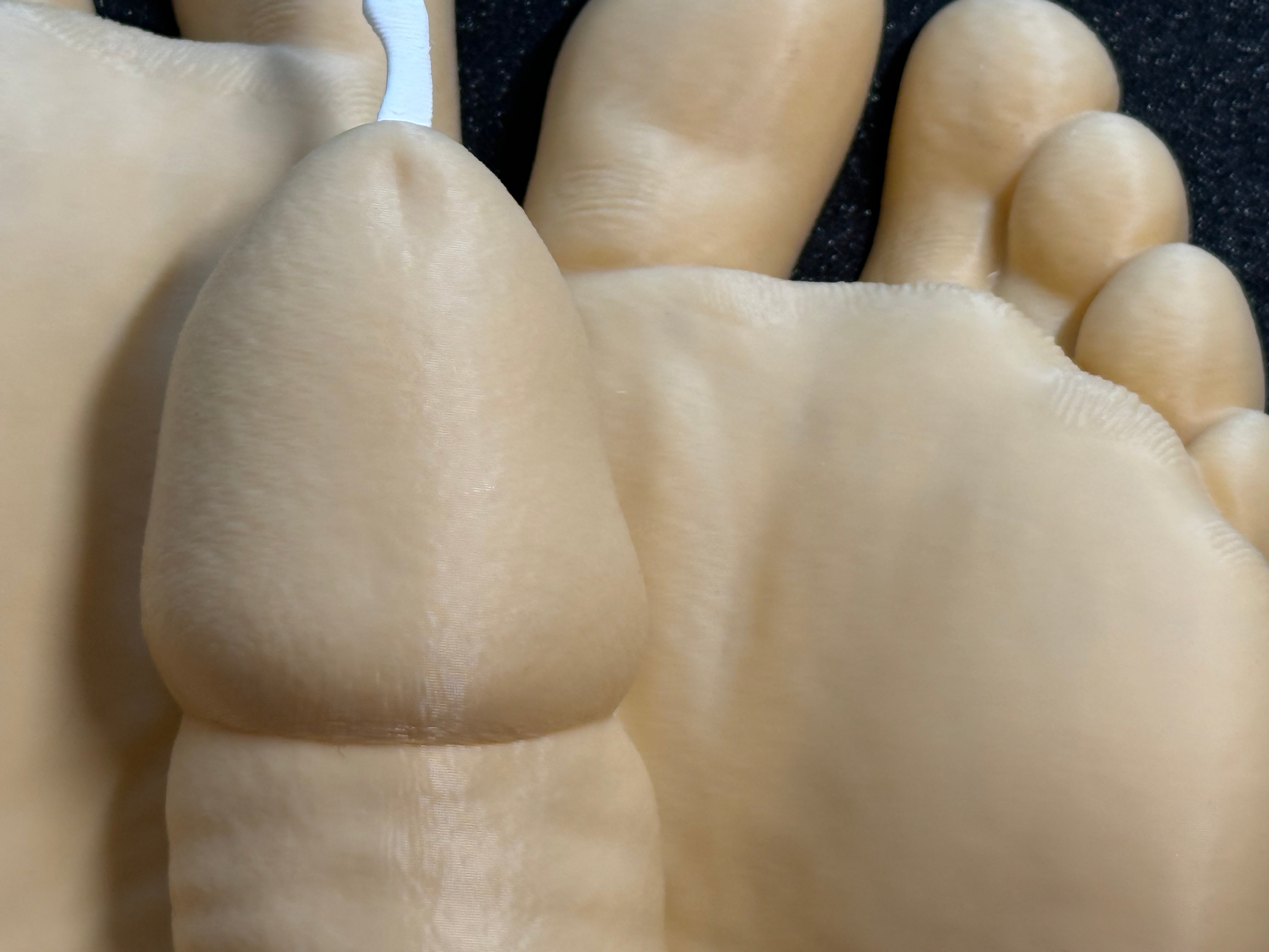 Novelty Foot Wall Sculpture | Artistic Statement Decor (7" Display Piece) | Discreet Packaging
