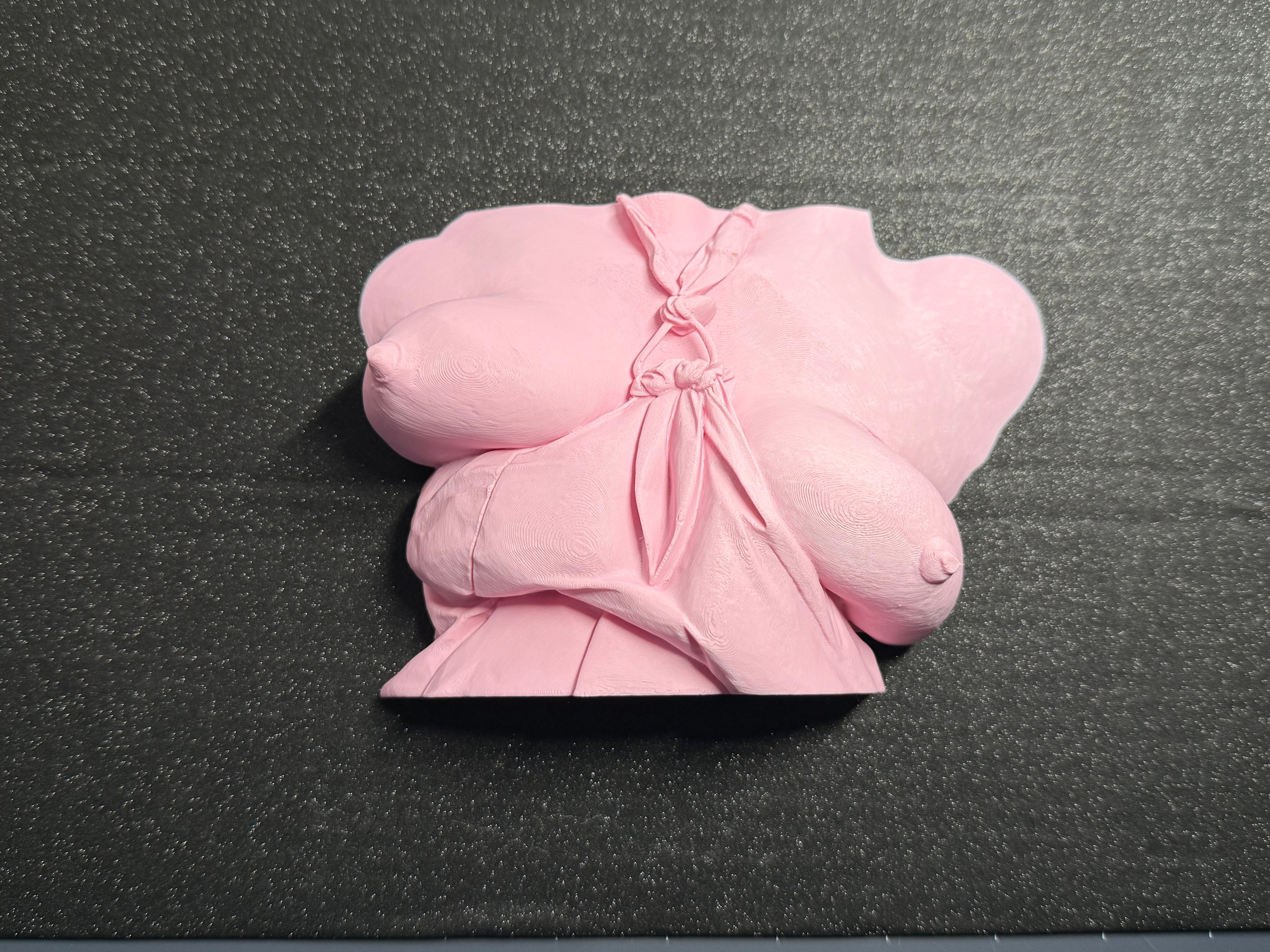 Body Form Sculpture | Artistic Torso Wall Decor (9" Statement Piece) | Discreet Packaging