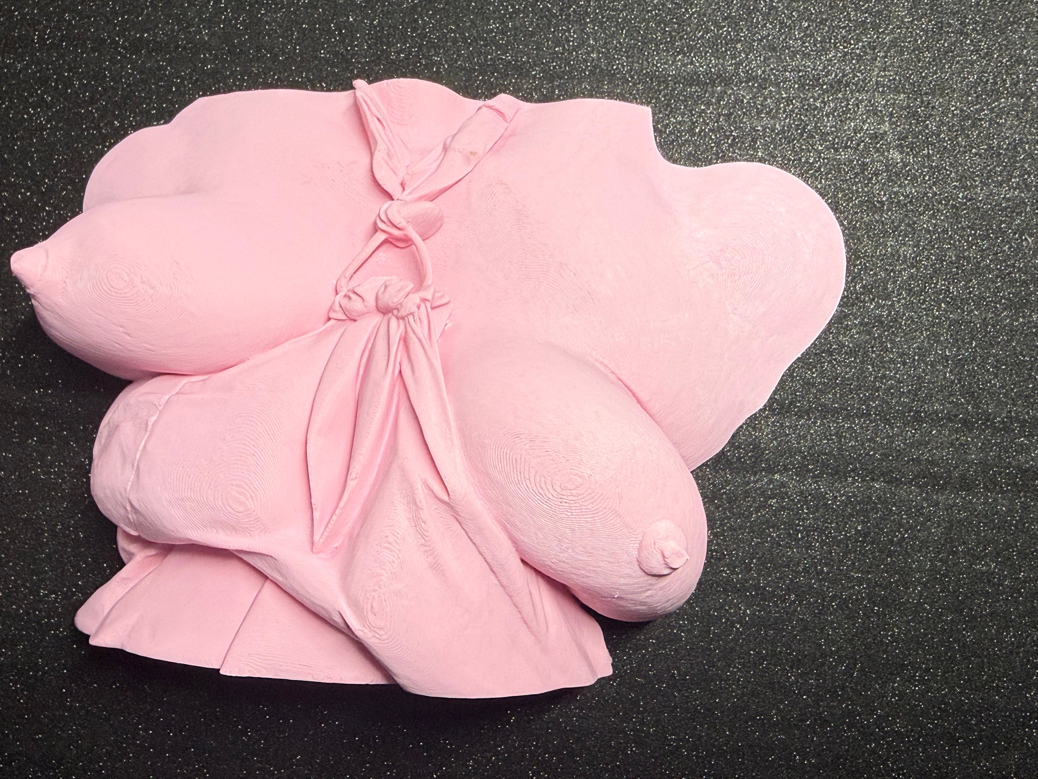 Body Form Sculpture | Artistic Torso Wall Decor (9" Statement Piece) | Discreet Packaging