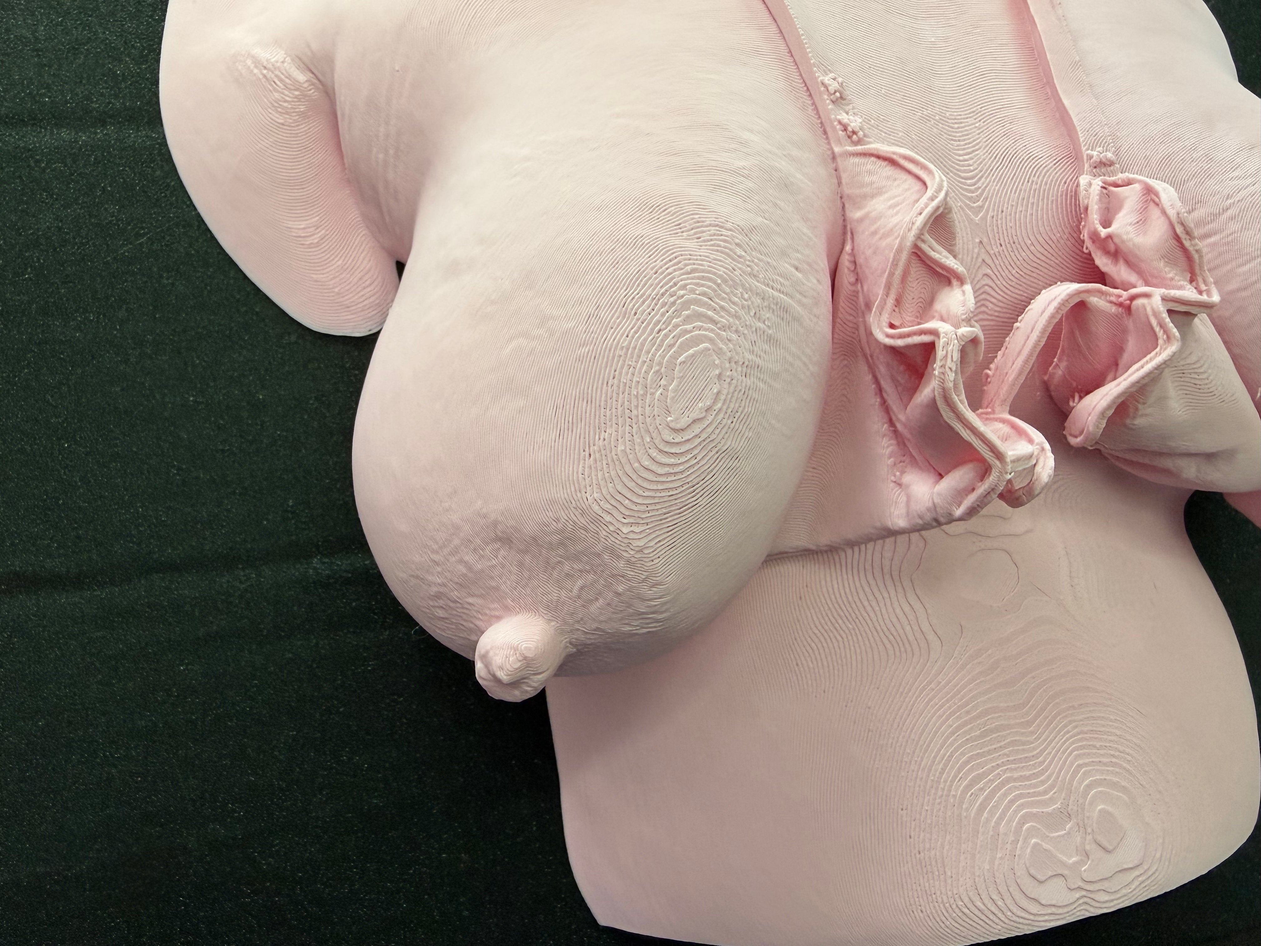 C-Kret Bathing Suit Torso Wall Sculpture – Feminine Body Art Decor