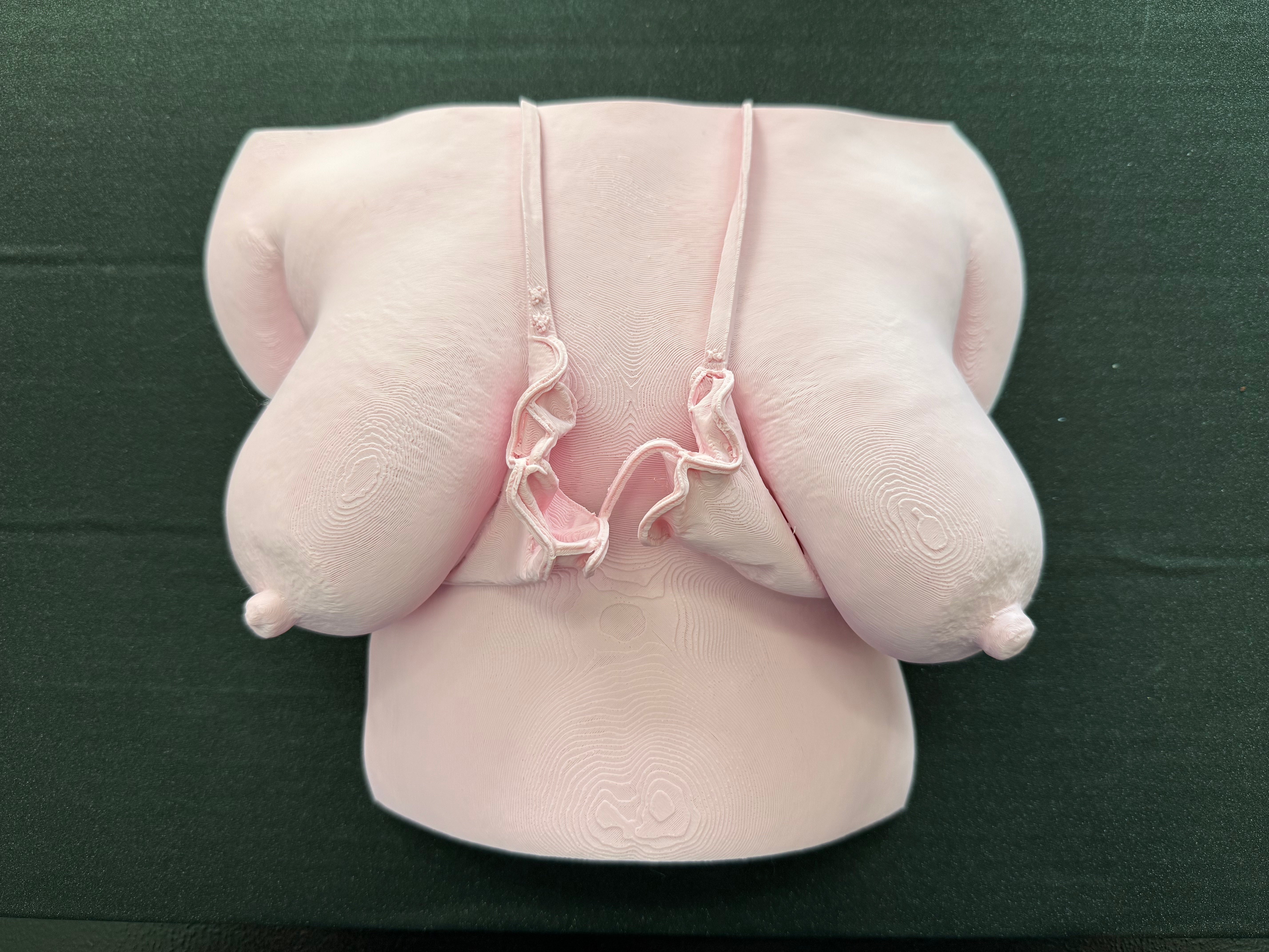 C-Kret Bathing Suit Torso Wall Sculpture – Feminine Body Art Decor