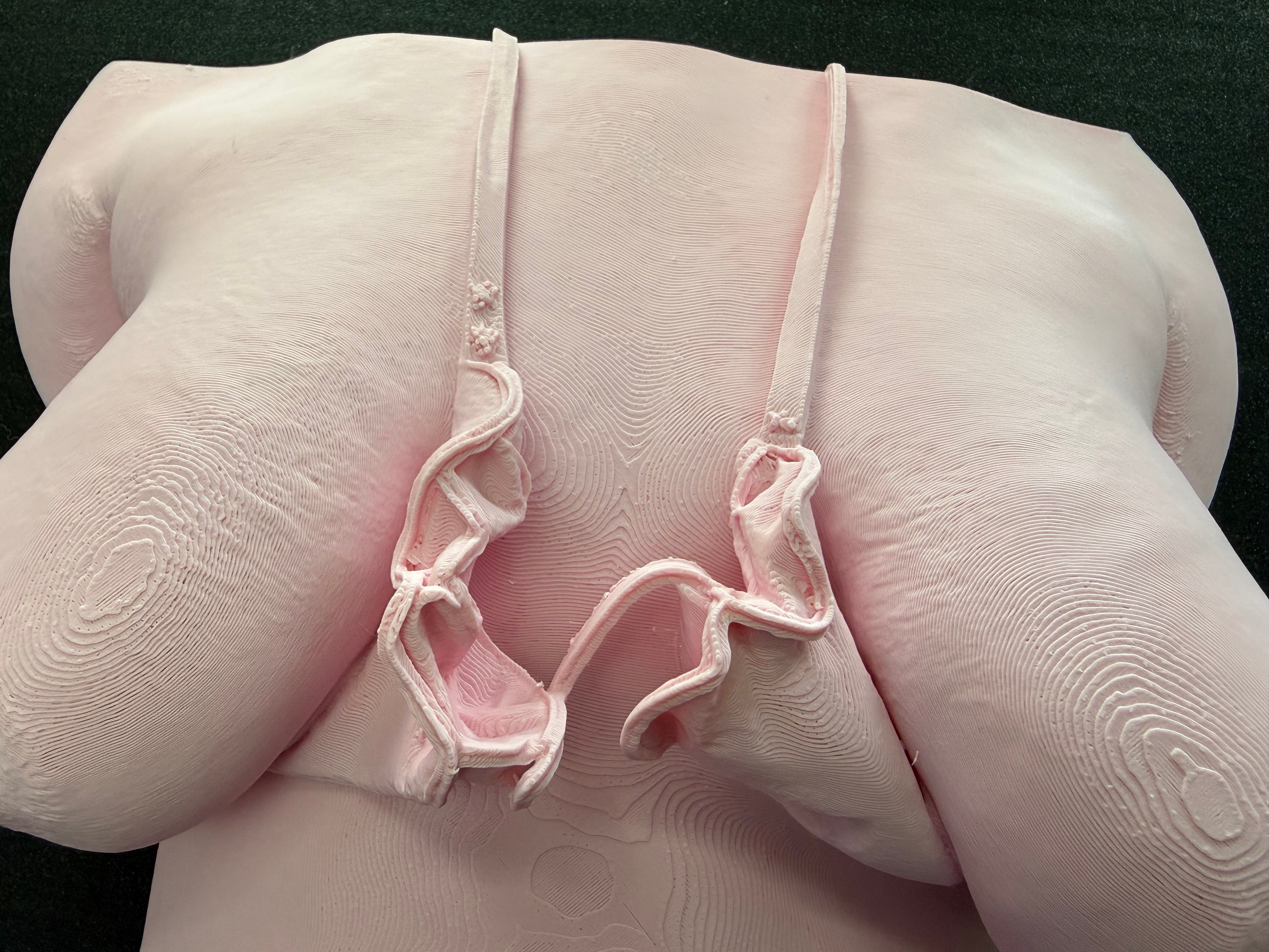 C-Kret Bathing Suit Torso Wall Sculpture – Feminine Body Art Decor