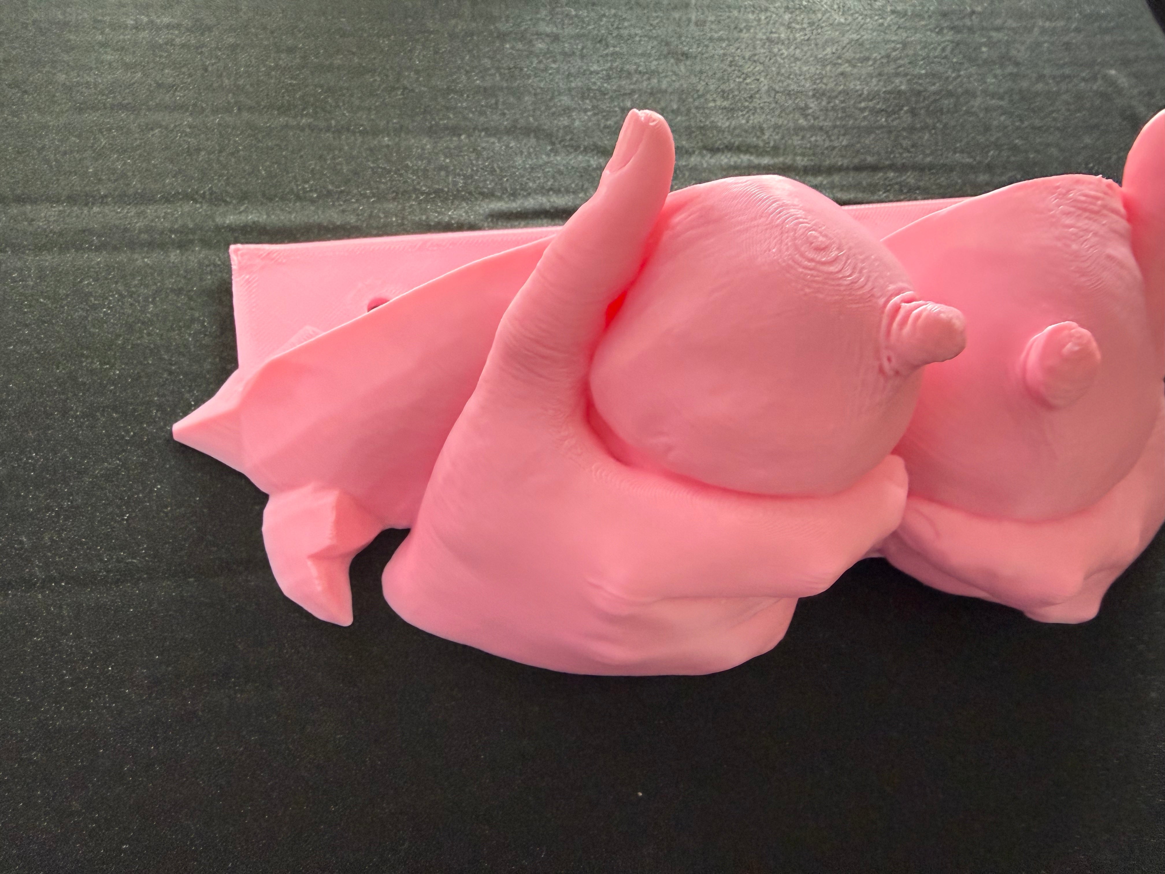 Body Form Wall Shelf | 3D Printed Feminine Art Storage | Bold Vanity Decor
