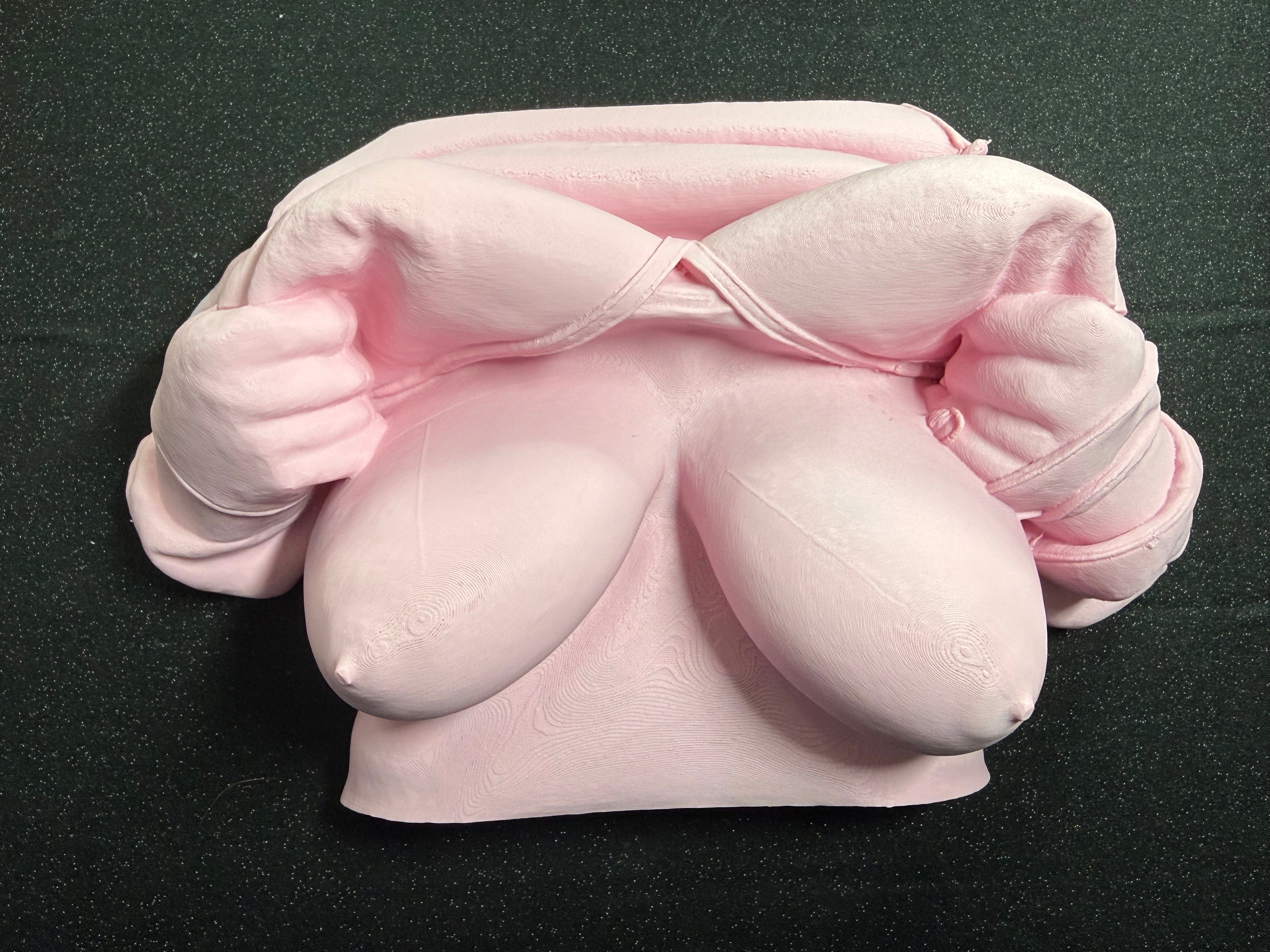 Lifting Bra Boob Wall Sculpture | 3D Printed Sensual Body Art | Bold Bedroom or Studio Decor