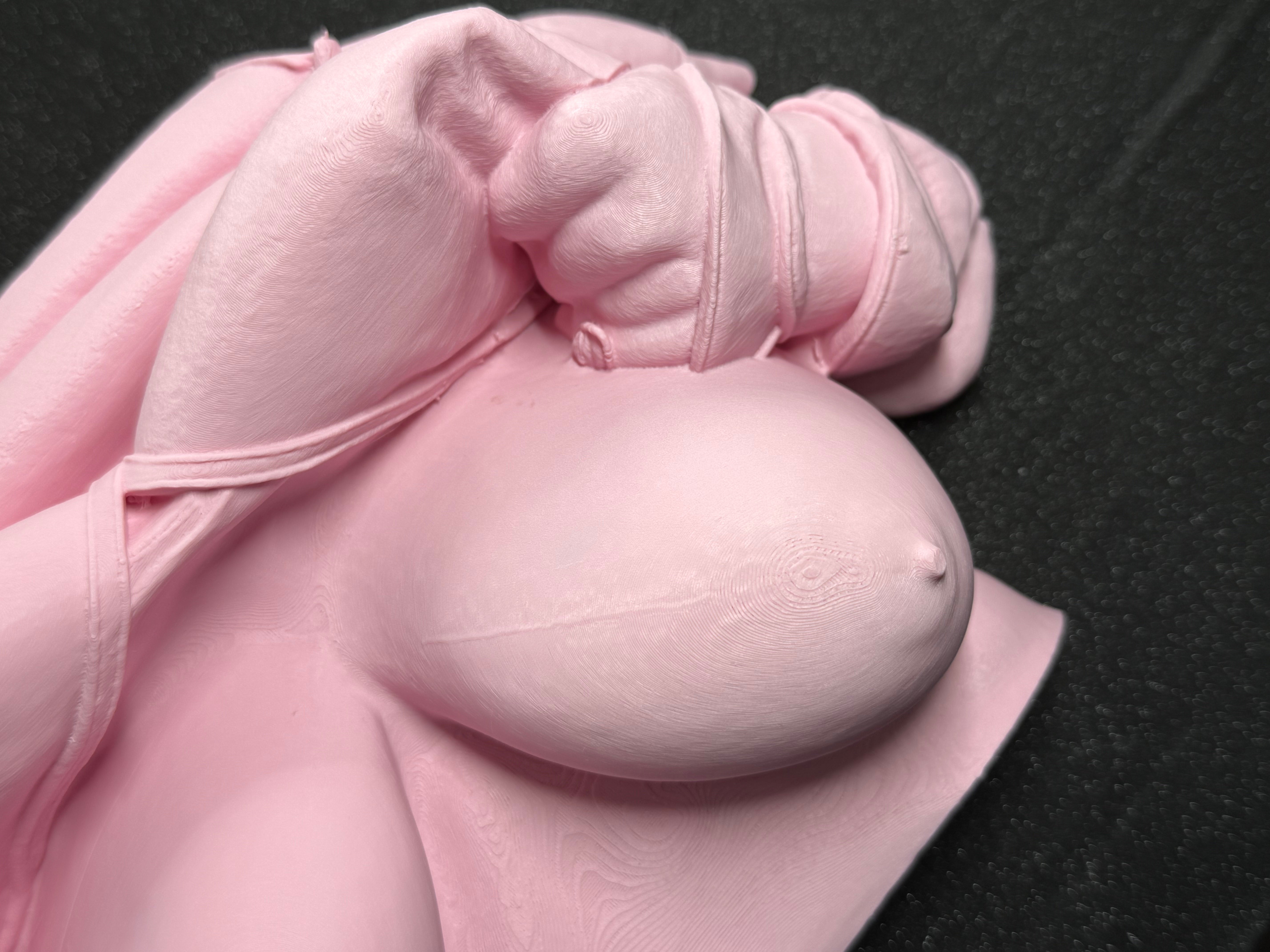 Lifting Bra Boob Wall Sculpture | 3D Printed Sensual Body Art | Bold Bedroom or Studio Decor