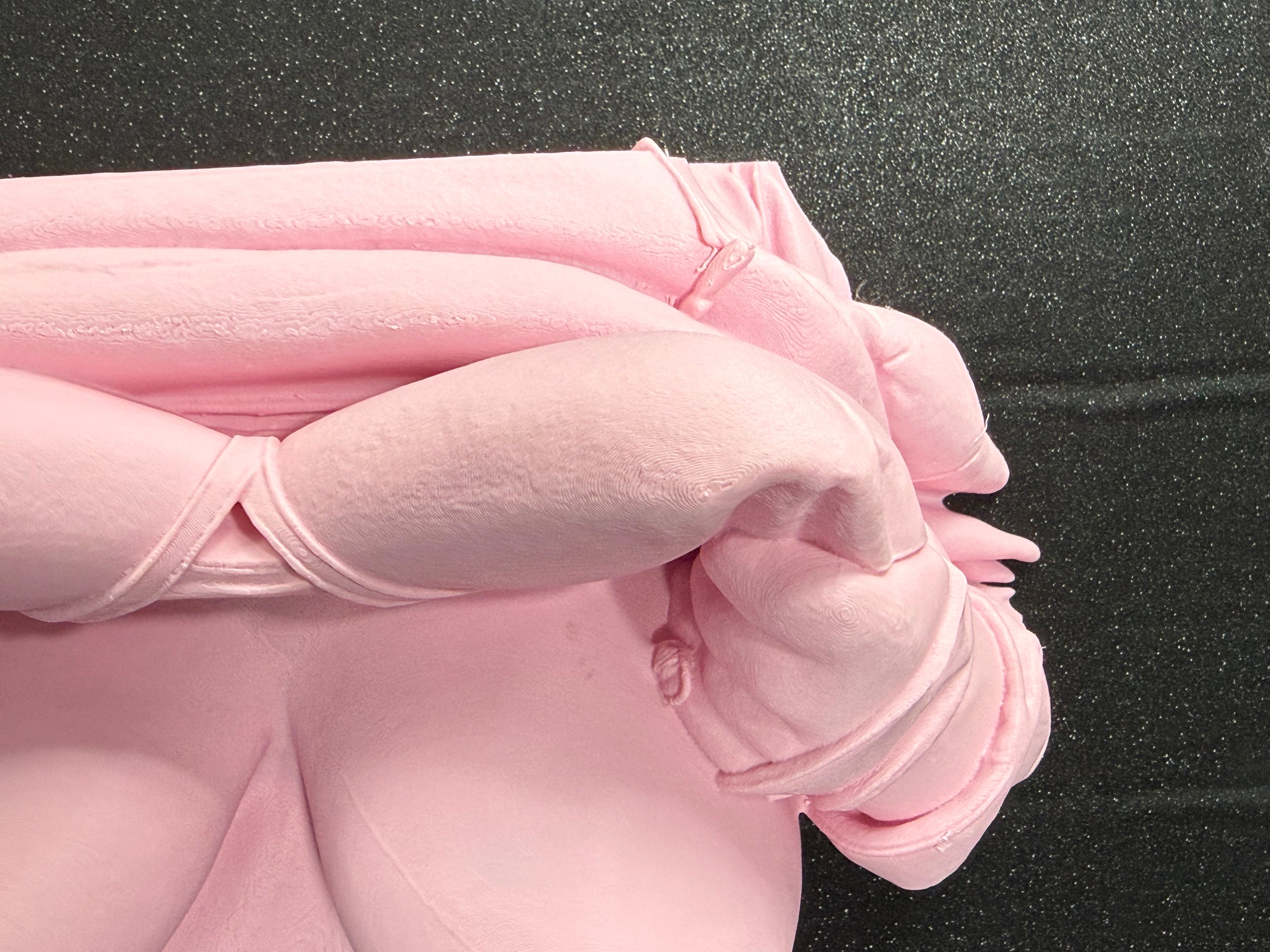 Lifting Bra Boob Wall Sculpture | 3D Printed Sensual Body Art | Bold Bedroom or Studio Decor