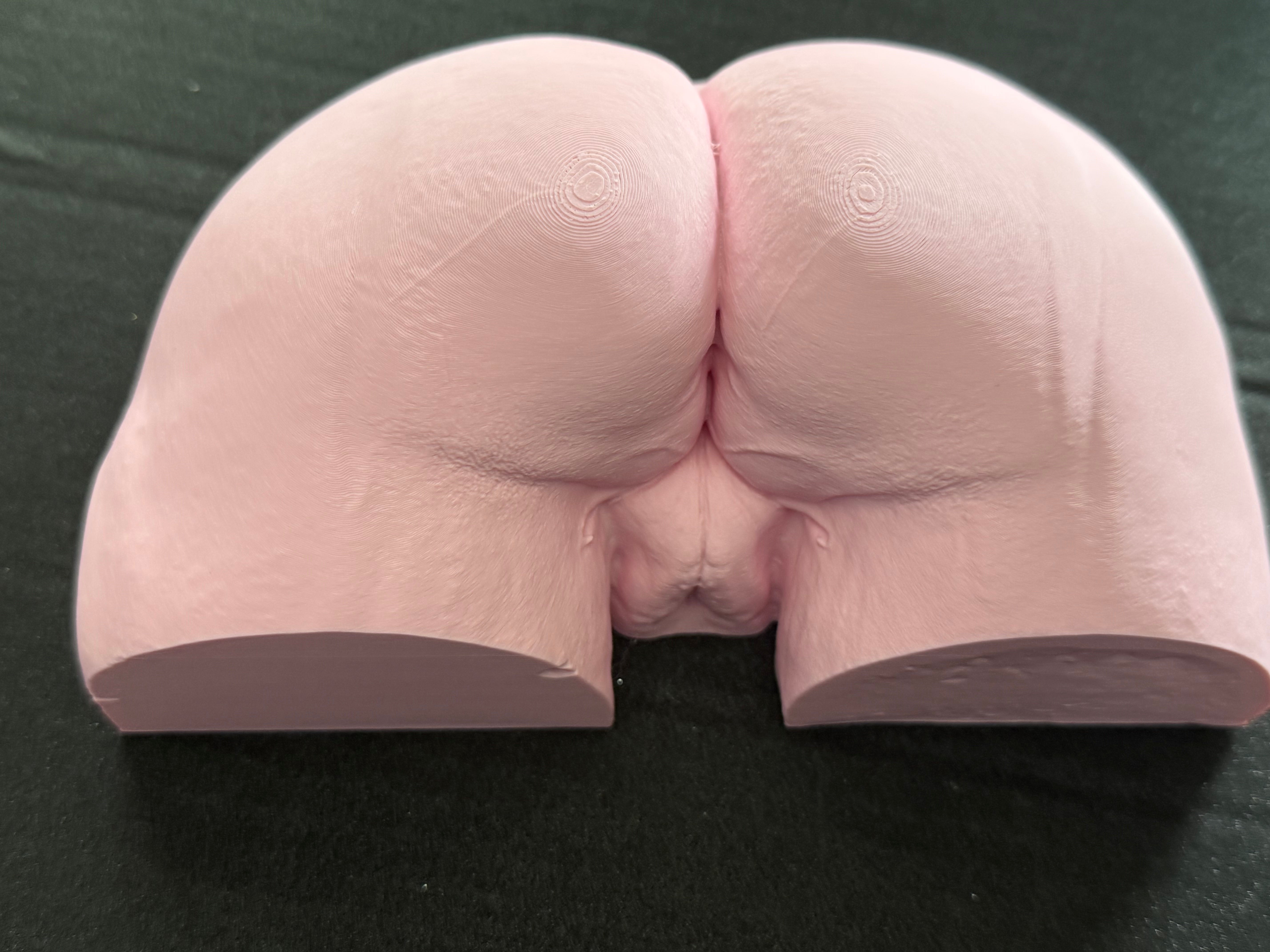 Female Body Sculpture | Provocative 3D Printed Anatomy Art | Unique Conversation Piece Decor | Discreet Packaging (Copy)