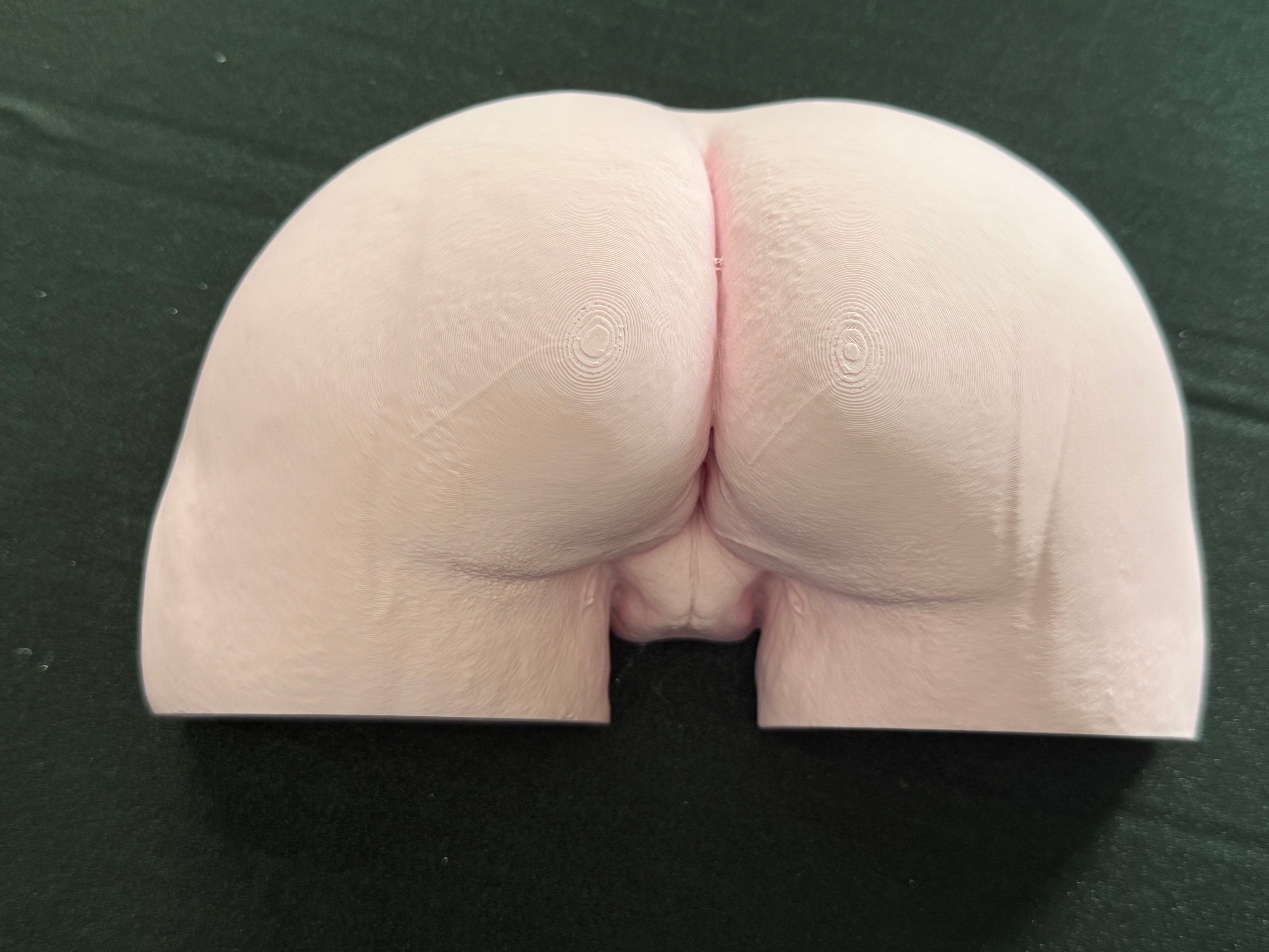 Female Body Sculpture | Provocative 3D Printed Anatomy Art | Unique Conversation Piece Decor | Discreet Packaging (Copy)