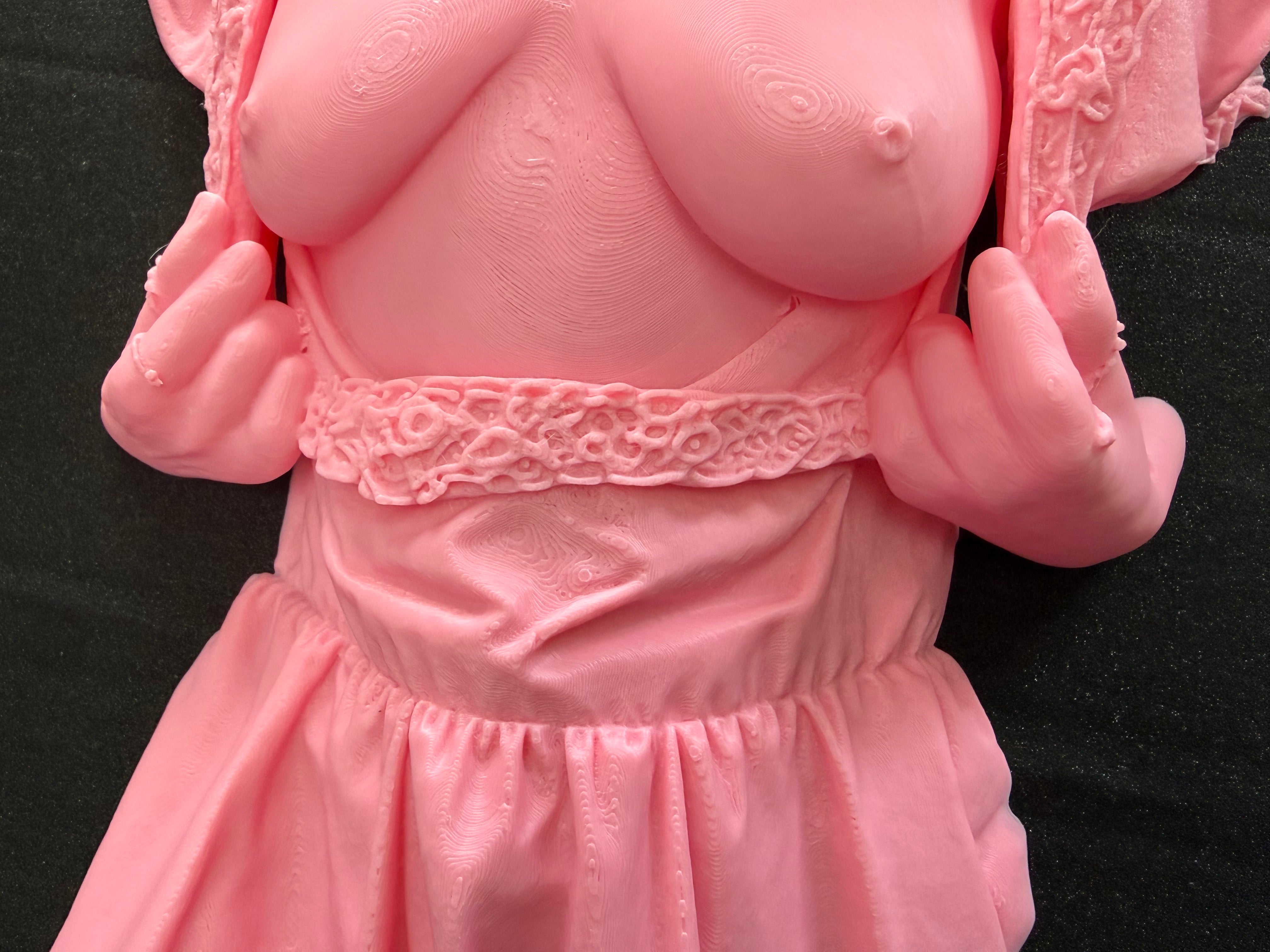 C-Kret Dress Torso Wall Sculpture | Feminine Body Art Decor | Discreet Packaging