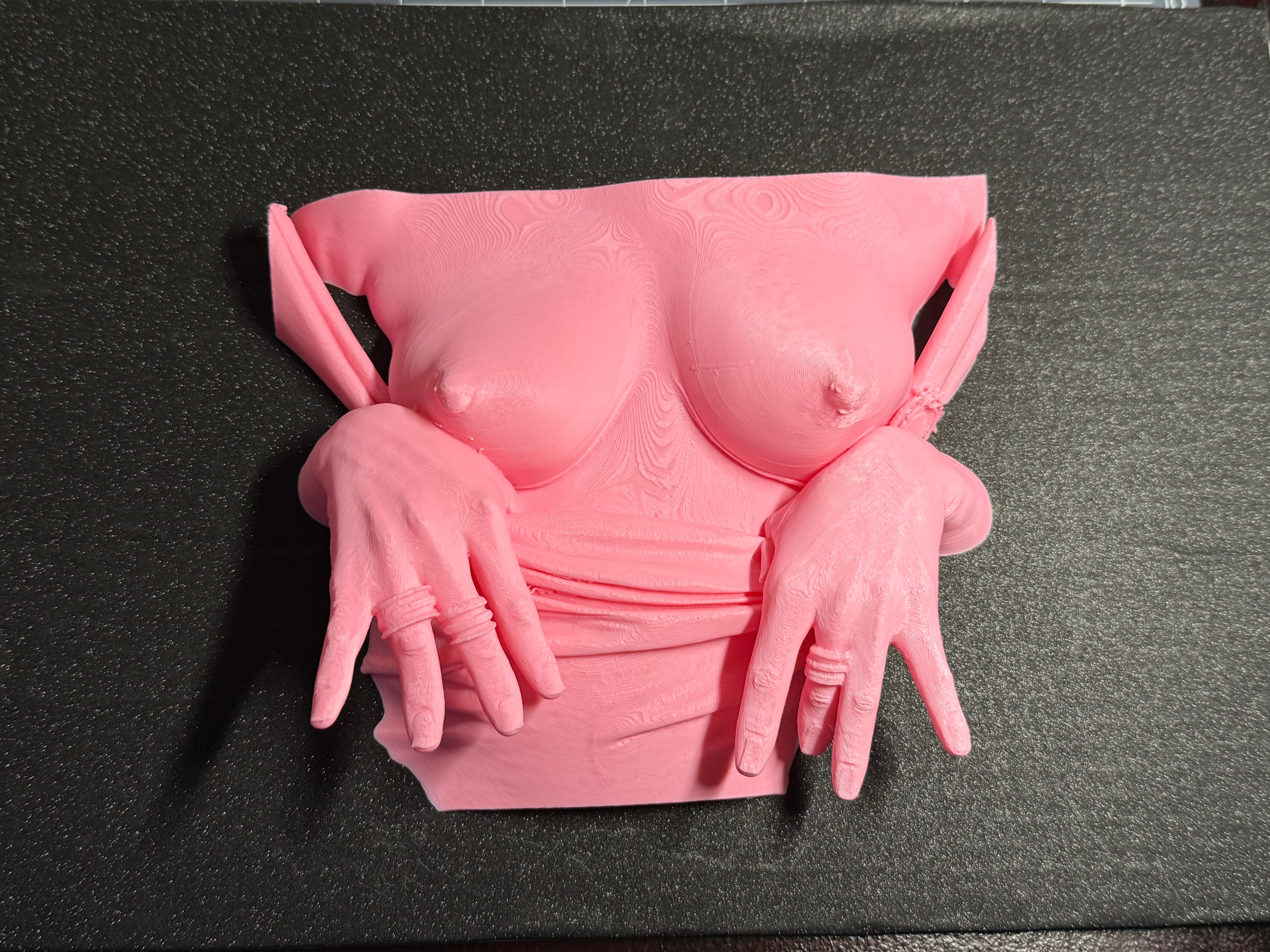 Flashing Wall Sculpture | Erotic Wall Art | Bold Adult Decor | 3D Printed Sculpture | Discreet Packaging
