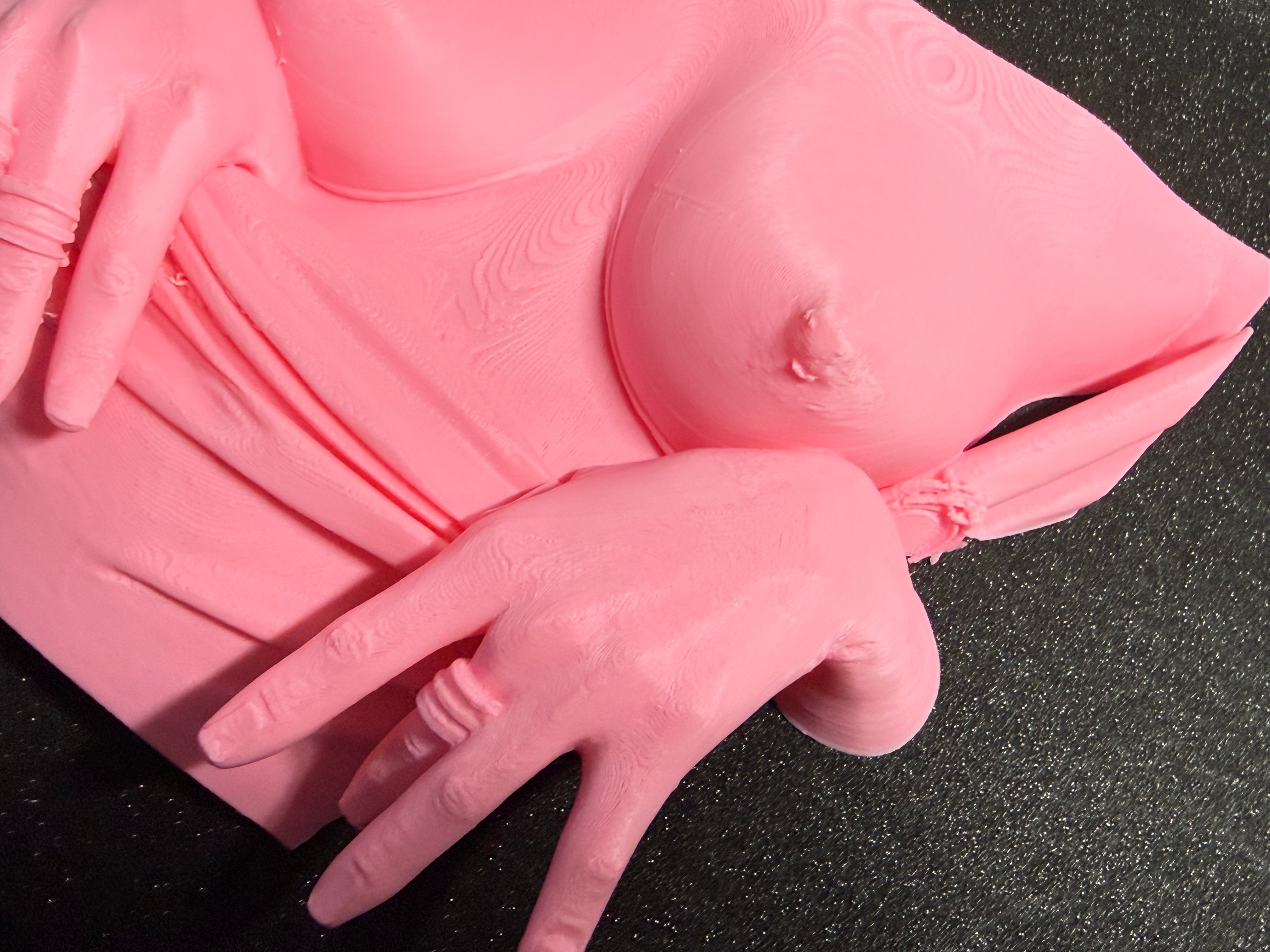 Flashing Wall Sculpture | Erotic Wall Art | Bold Adult Decor | 3D Printed Sculpture | Discreet Packaging