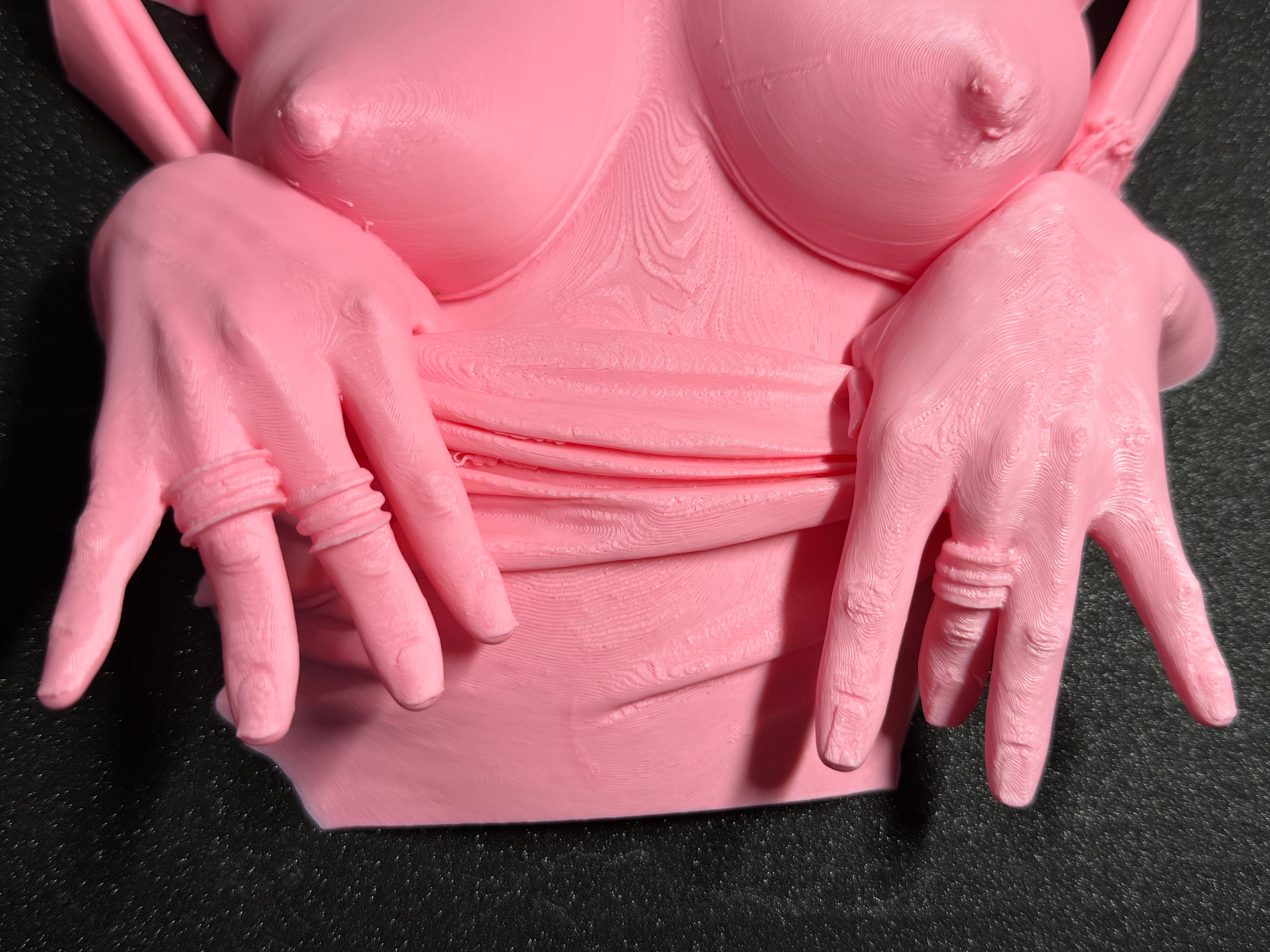 Flashing Wall Sculpture | Erotic Wall Art | Bold Adult Decor | 3D Printed Sculpture | Discreet Packaging