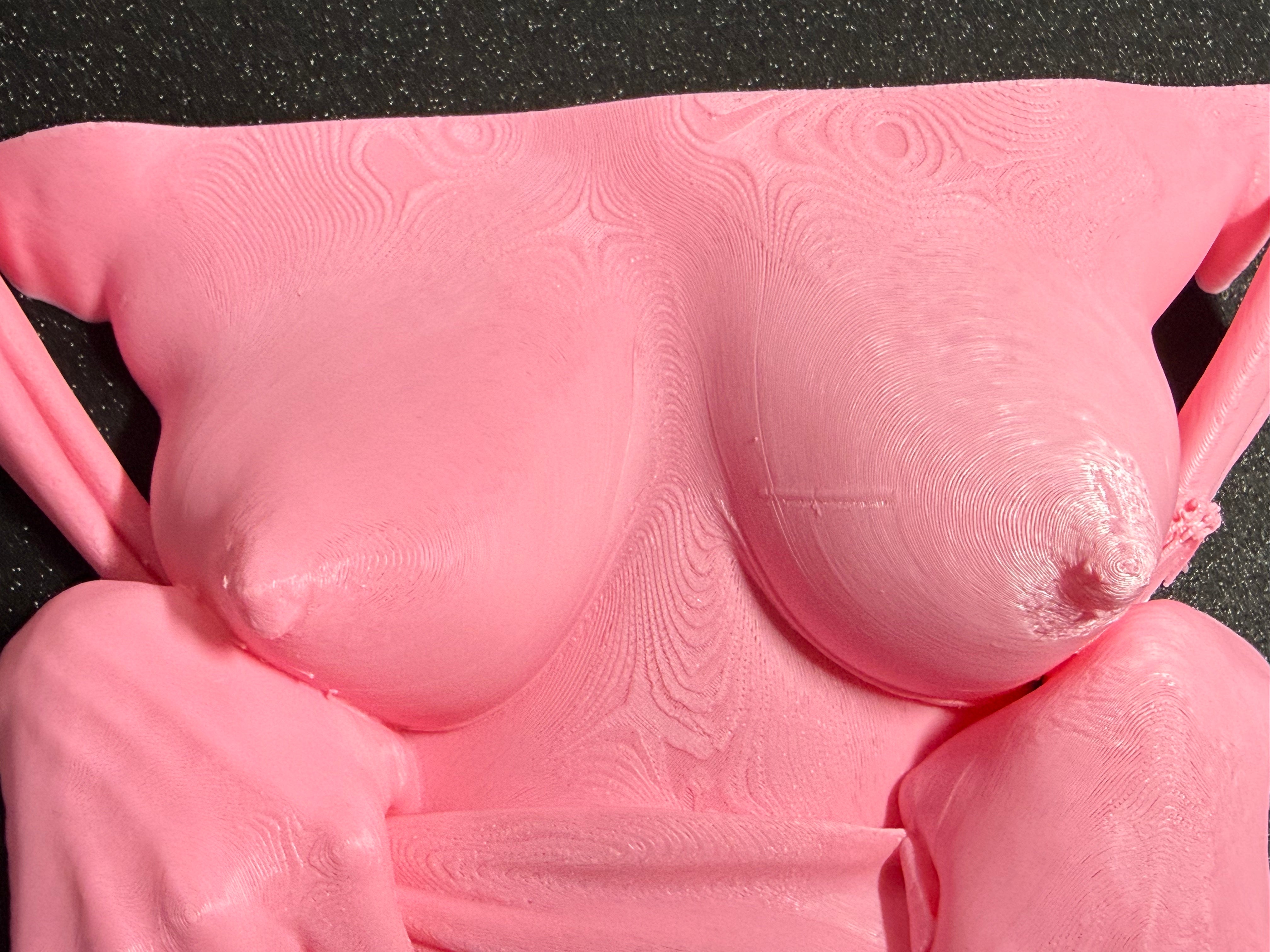 Flashing Wall Sculpture | Erotic Wall Art | Bold Adult Decor | 3D Printed Sculpture | Discreet Packaging