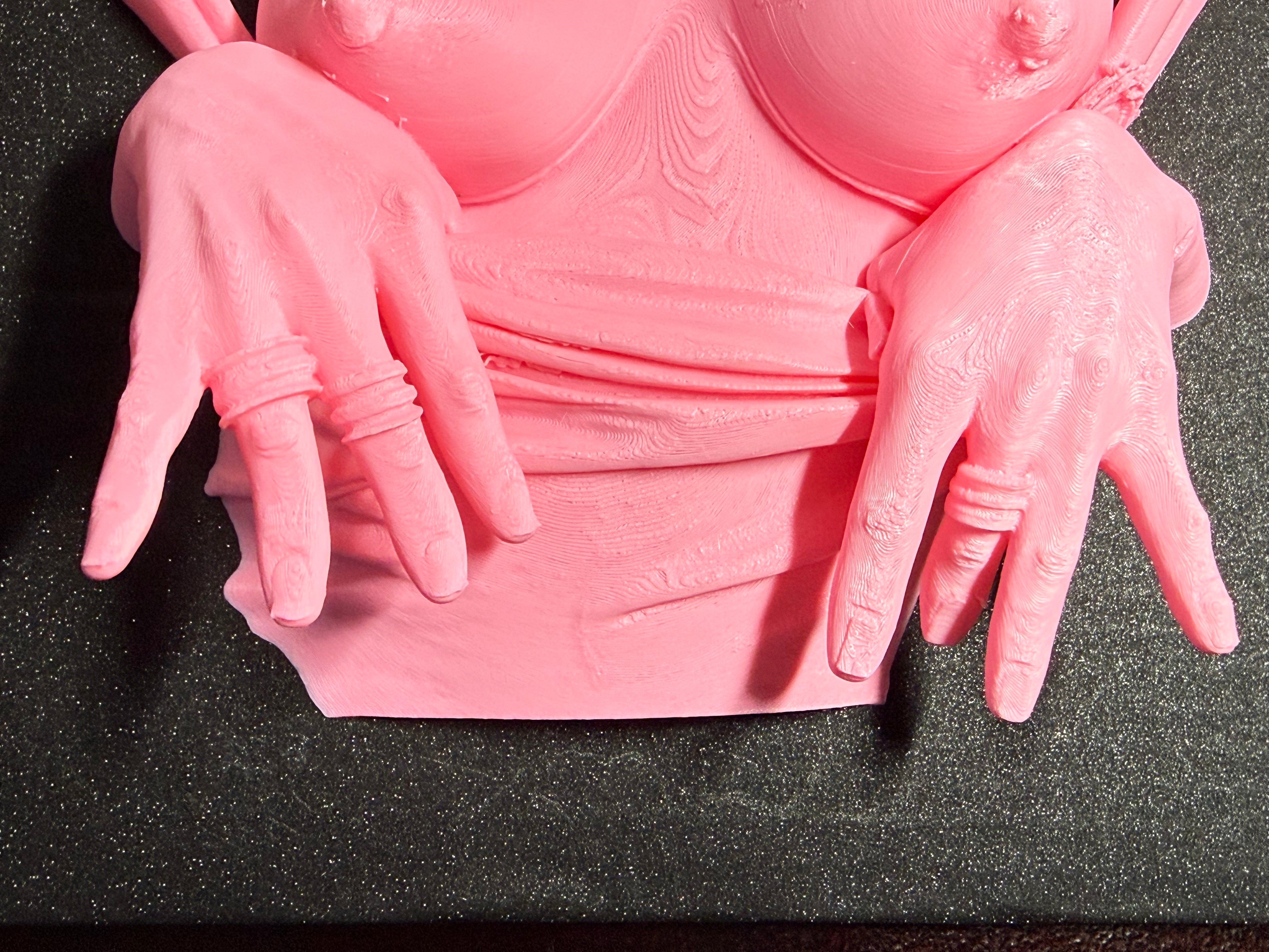 Flashing Wall Sculpture | Erotic Wall Art | Bold Adult Decor | 3D Printed Sculpture | Discreet Packaging