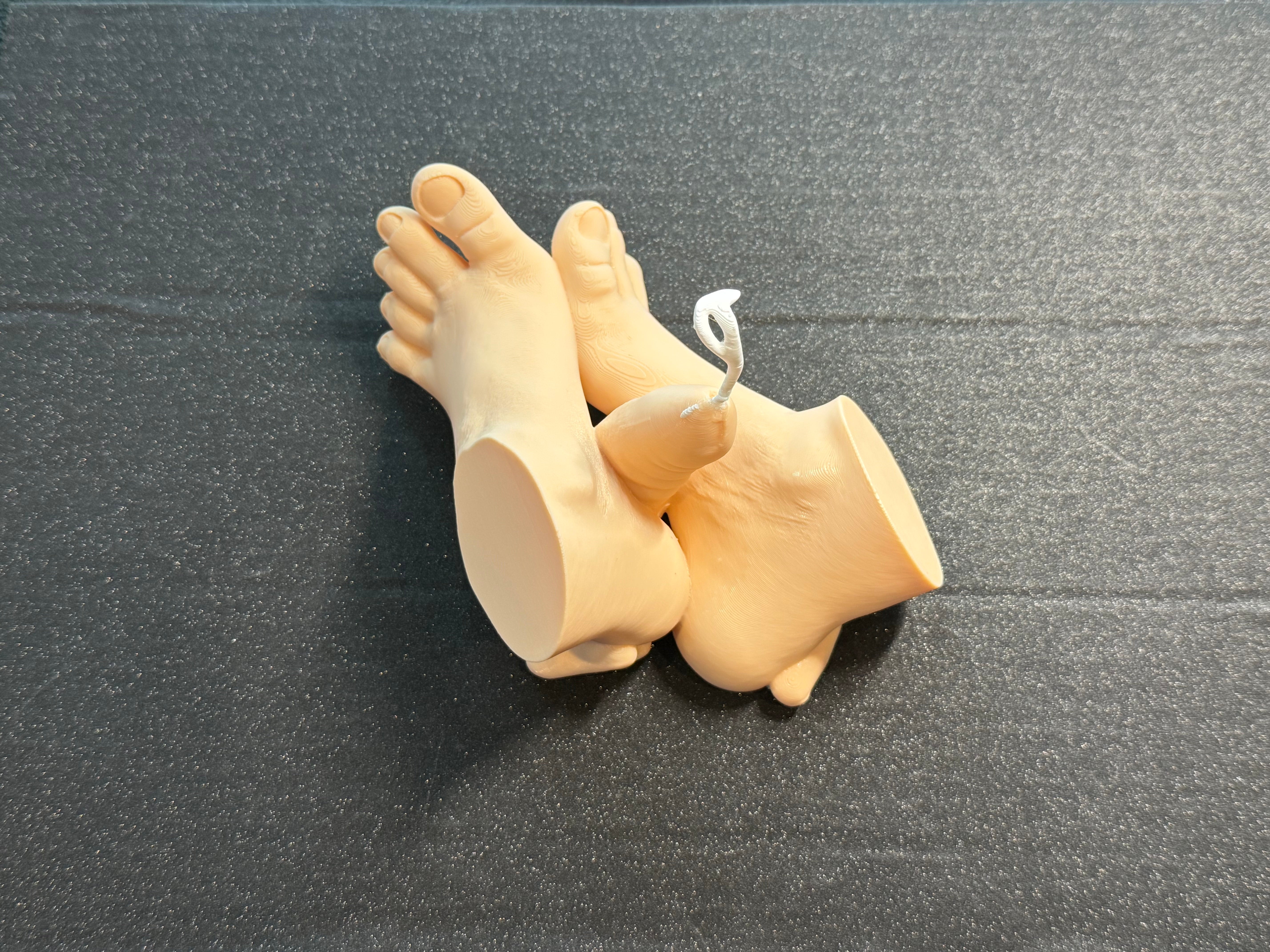 Abstract Foot Sculpture | Novelty Artistic Decor Piece (7" Display Art) | Discreet Packaging