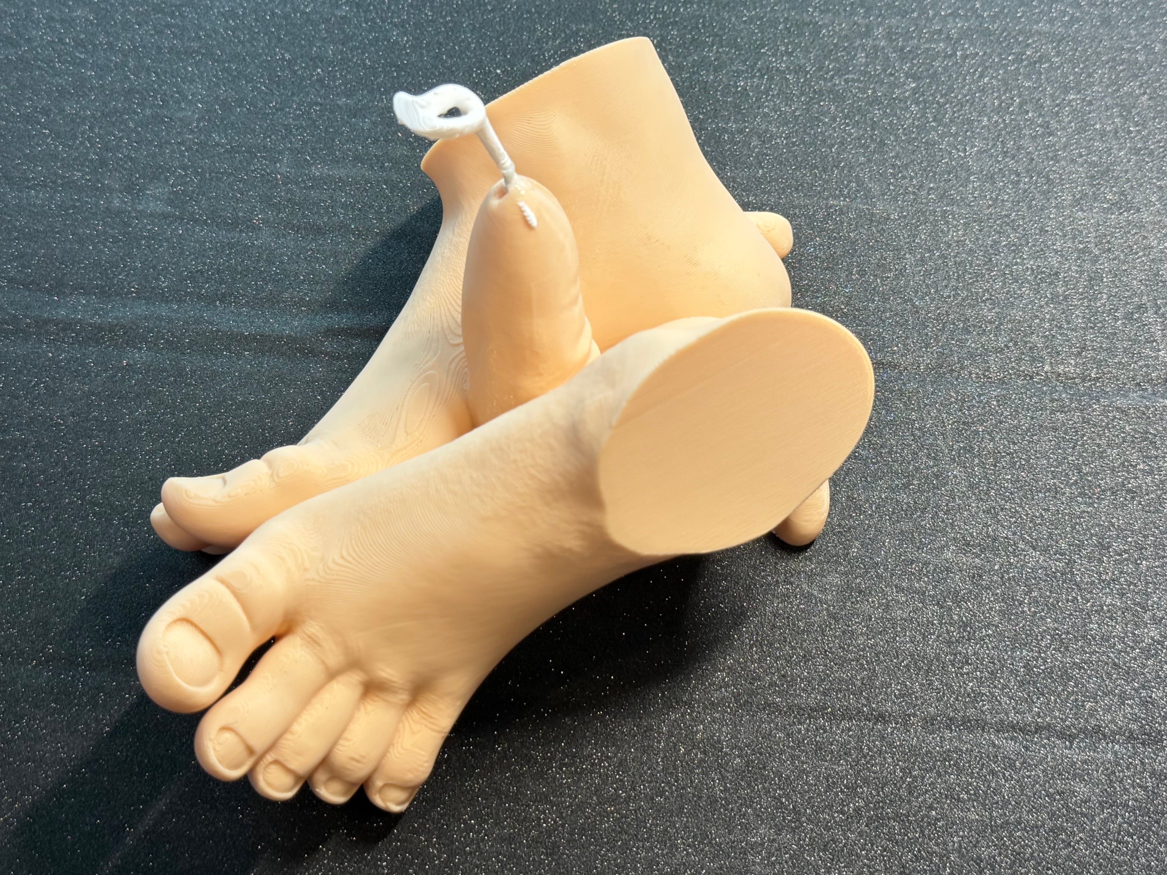 Abstract Foot Sculpture | Novelty Artistic Decor Piece (7" Display Art) | Discreet Packaging