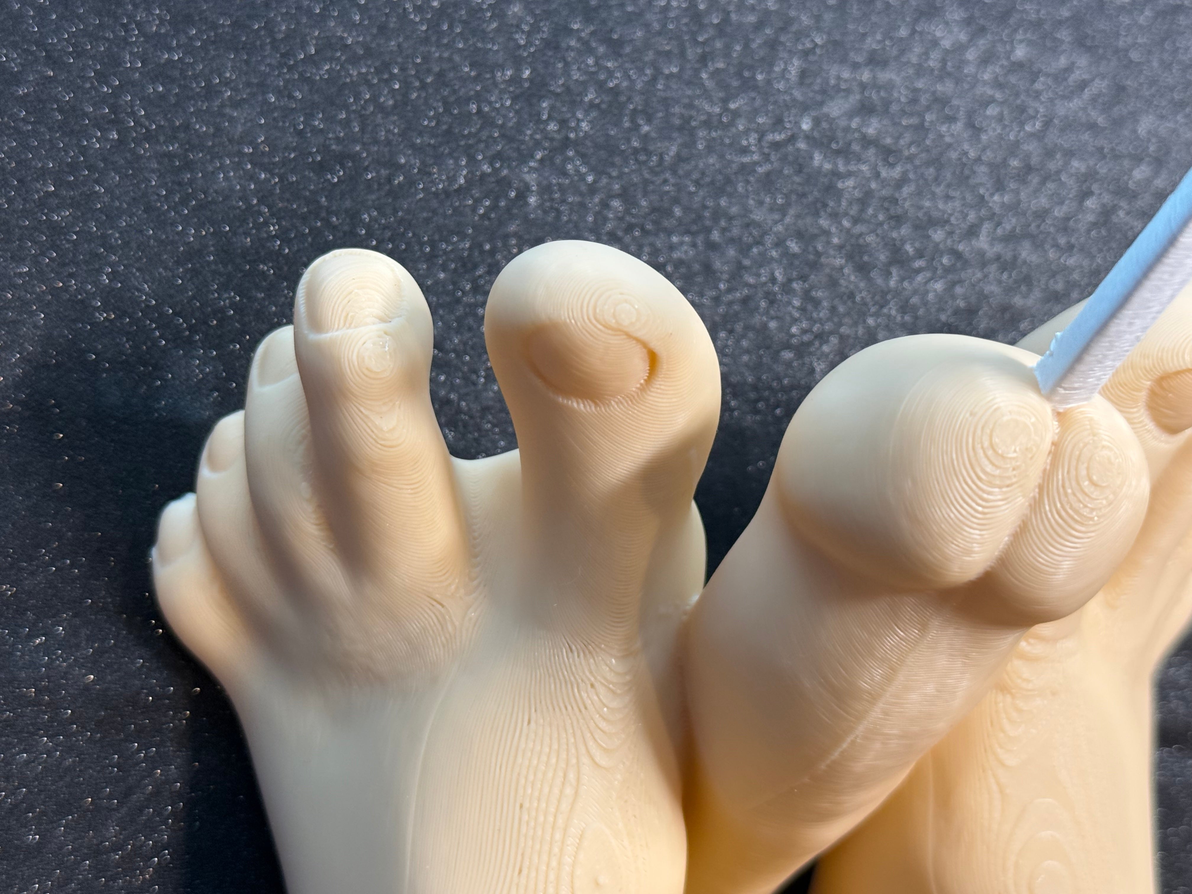 Novelty Foot Sculpture | Artistic Desk Decor & Conversation Piece | Discreet Packaging