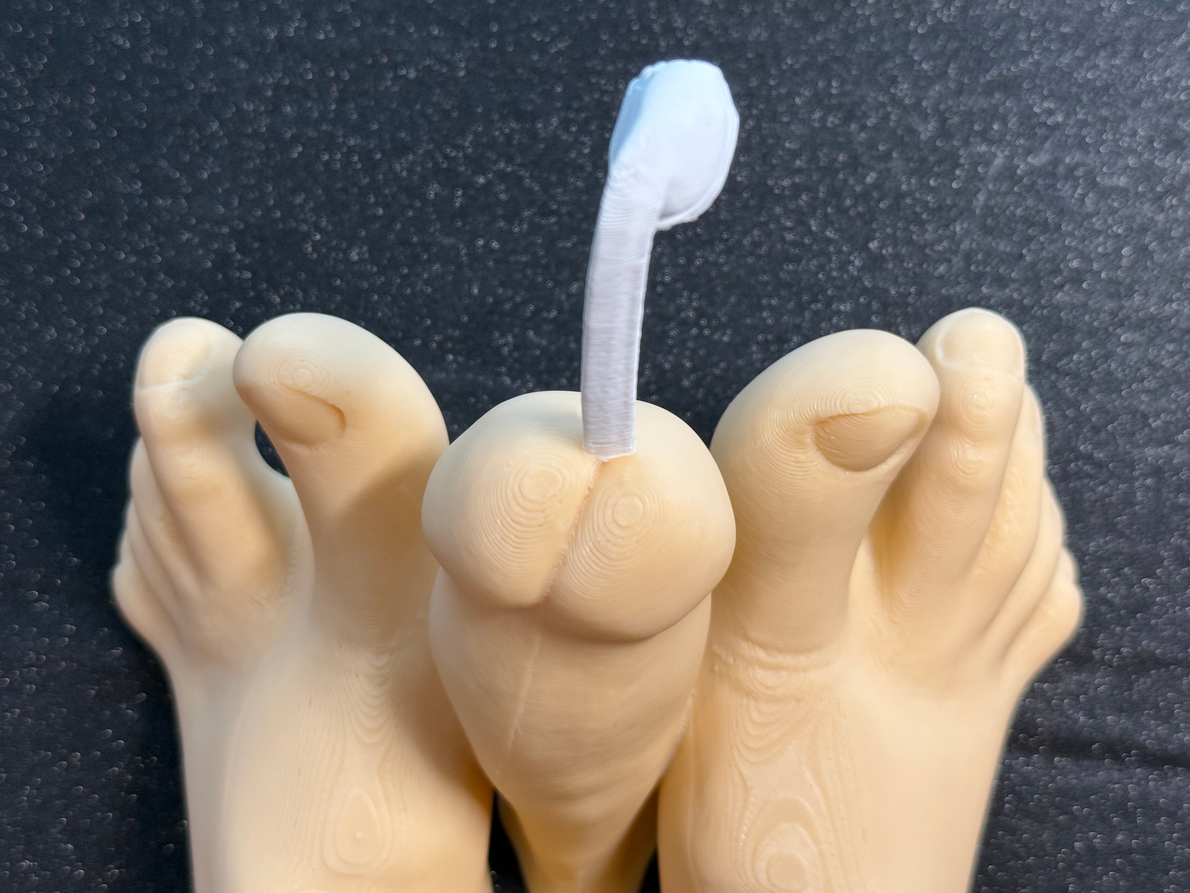 Novelty Foot Sculpture | Artistic Desk Decor & Conversation Piece | Discreet Packaging