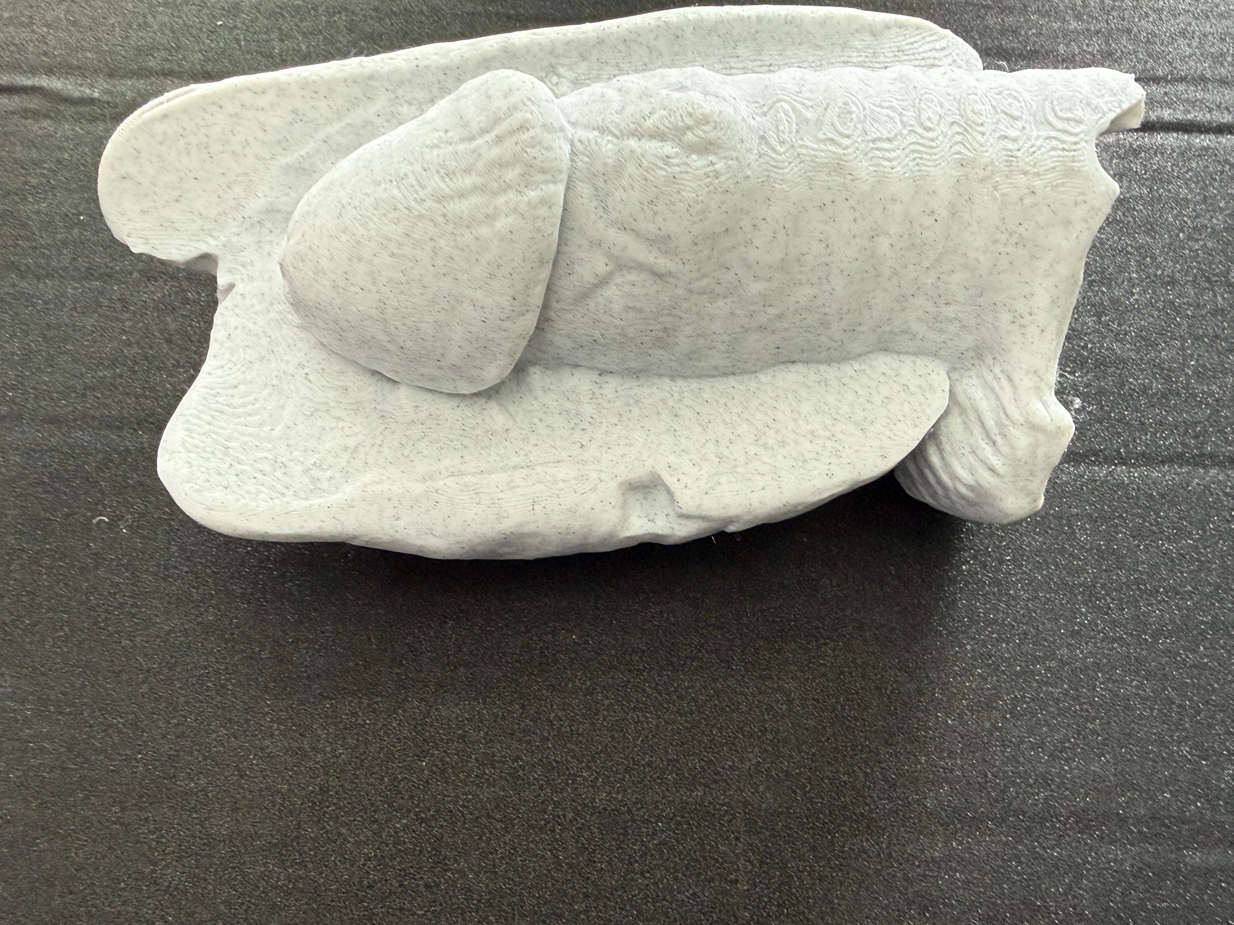 Funny Hot Dog Sculpture | Adult Humor Gag Gift | 3D Printed Novelty Decor | Discreet Packaging