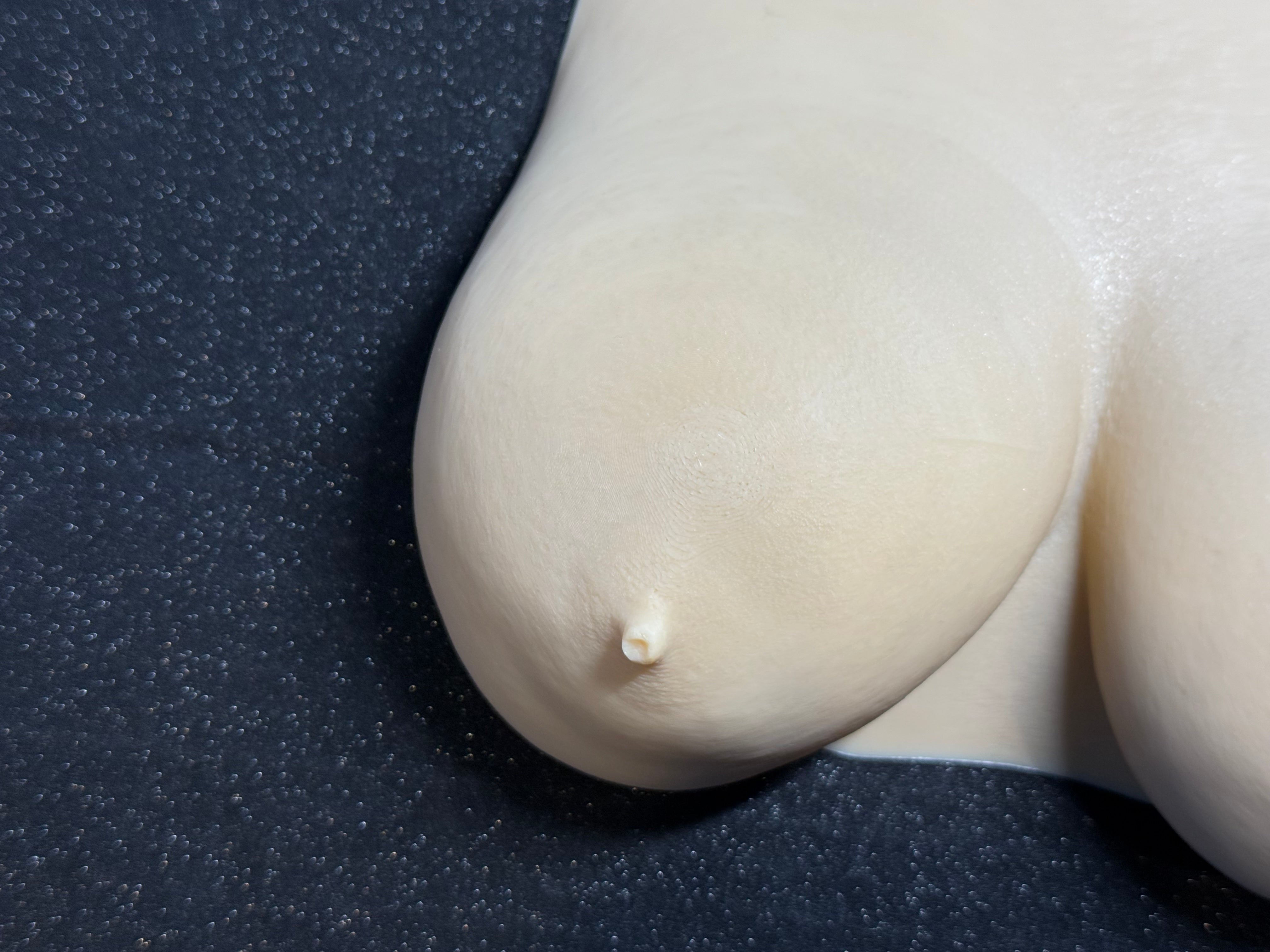 Realistic Female Torso Wall Sculpture | Body Form Art | 3D Printed Decor | Modern Figurine | Discreet Packaging