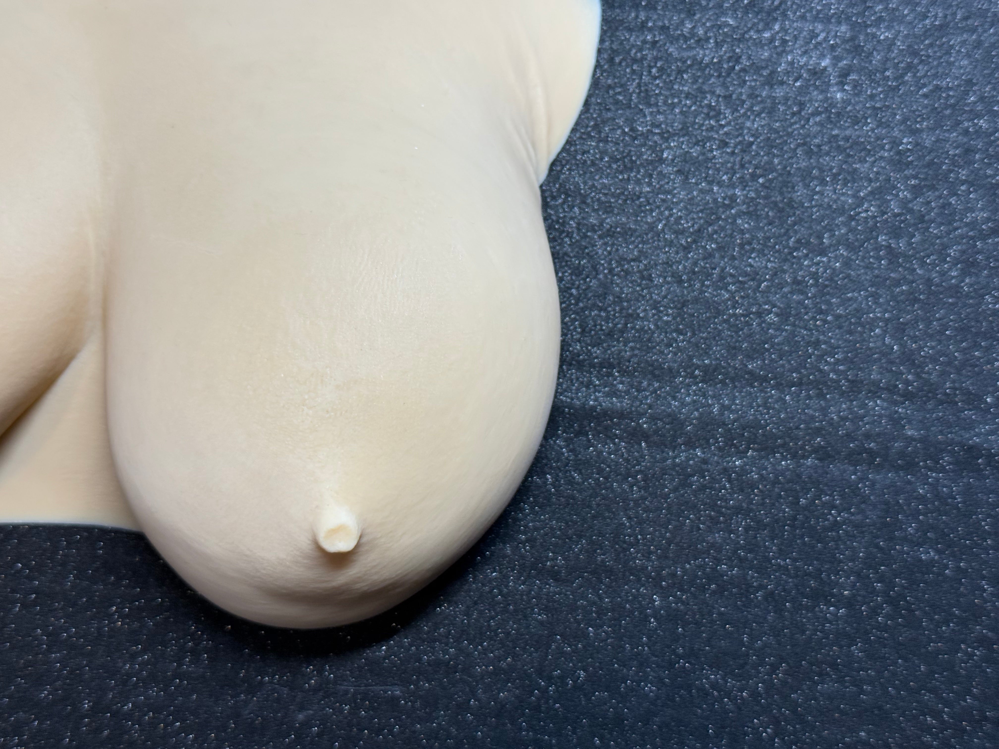 Realistic Female Torso Wall Sculpture | Body Form Art | 3D Printed Decor | Modern Figurine | Discreet Packaging
