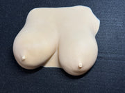 Realistic Female Torso Wall Sculpture | Body Form Art | 3D Printed Decor | Modern Figurine | Discreet Packaging