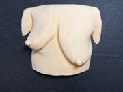 Body Form Sculpture | Artistic Torso Wall Decor | Modern Decor Piece | Discreet Packaging