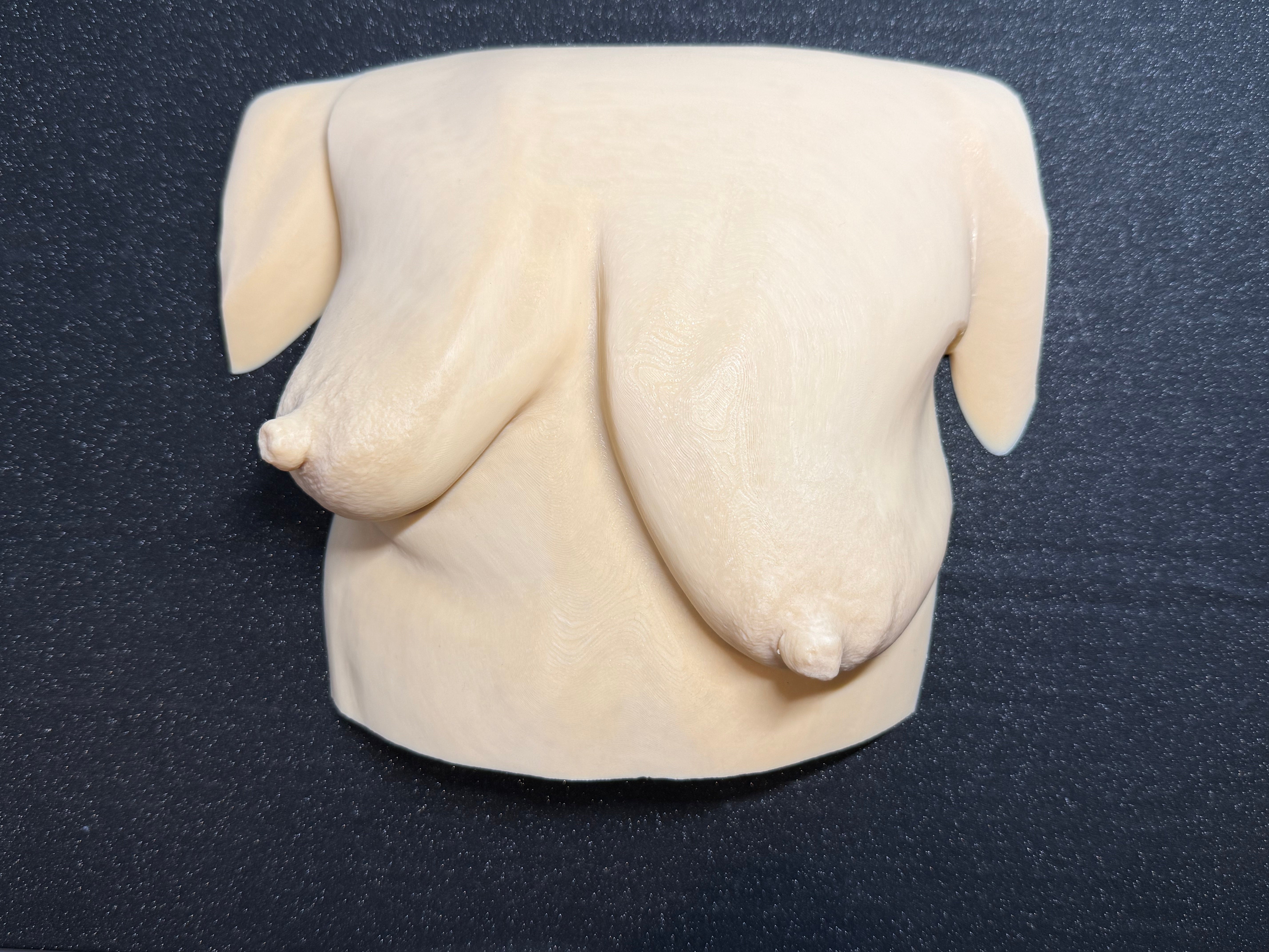 Body Form Sculpture | Artistic Torso Wall Decor | Modern Decor Piece | Discreet Packaging