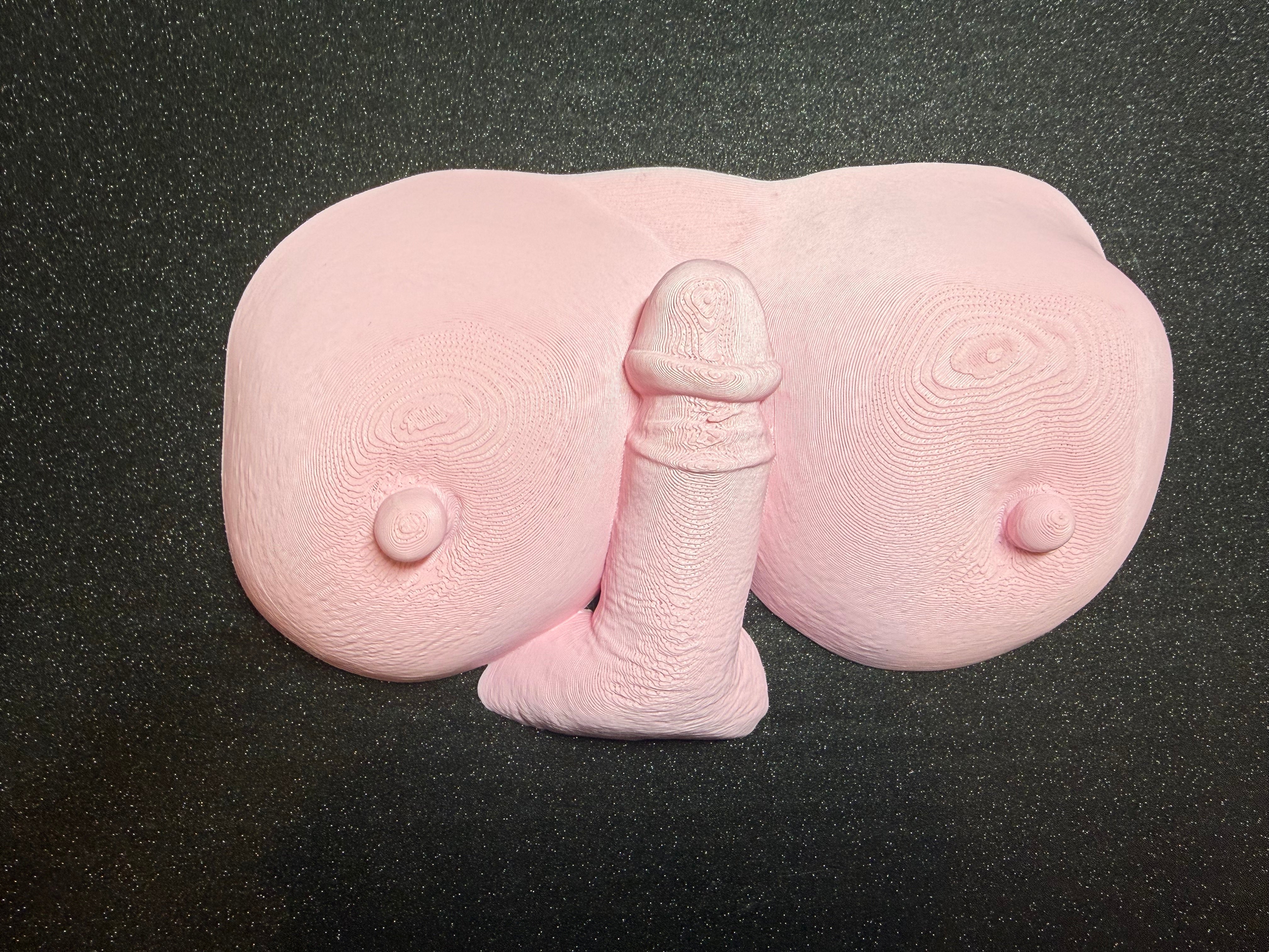 Erotic Sculpture Decor | Adult Humor Desk Sculpture | Bold Conversation Art | 3D Printed Novelty Gift | Bachelor Pad Decor | Discreet Packaging