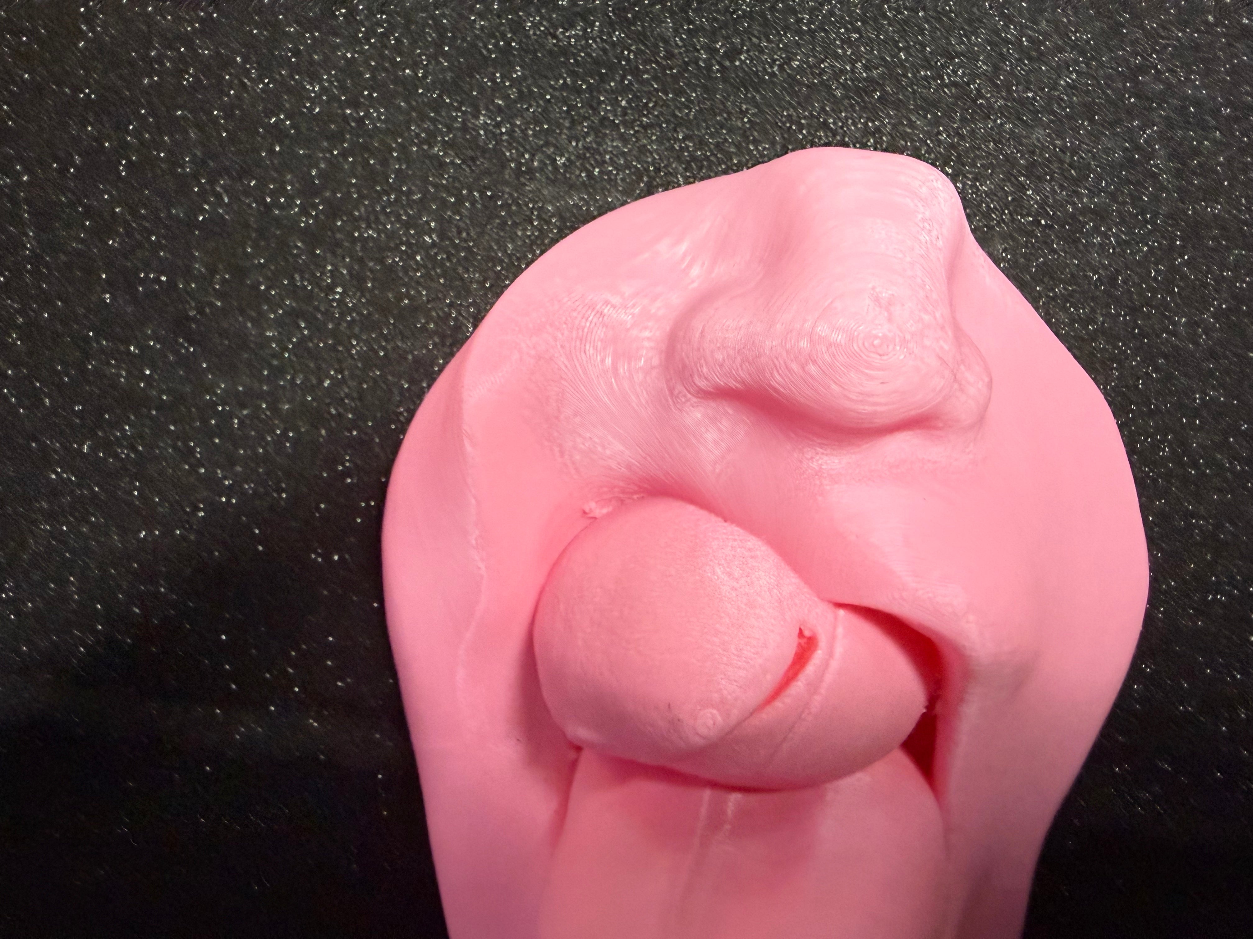 Explicit Erotic Sculpture | 3D Printed Adult Art | Bold Intimate Wall or Shelf Decor | Discreet Packaging