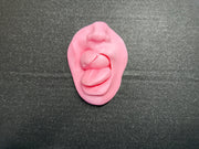 Explicit Erotic Sculpture | 3D Printed Adult Art | Bold Intimate Wall or Shelf Decor | Discreet Packaging