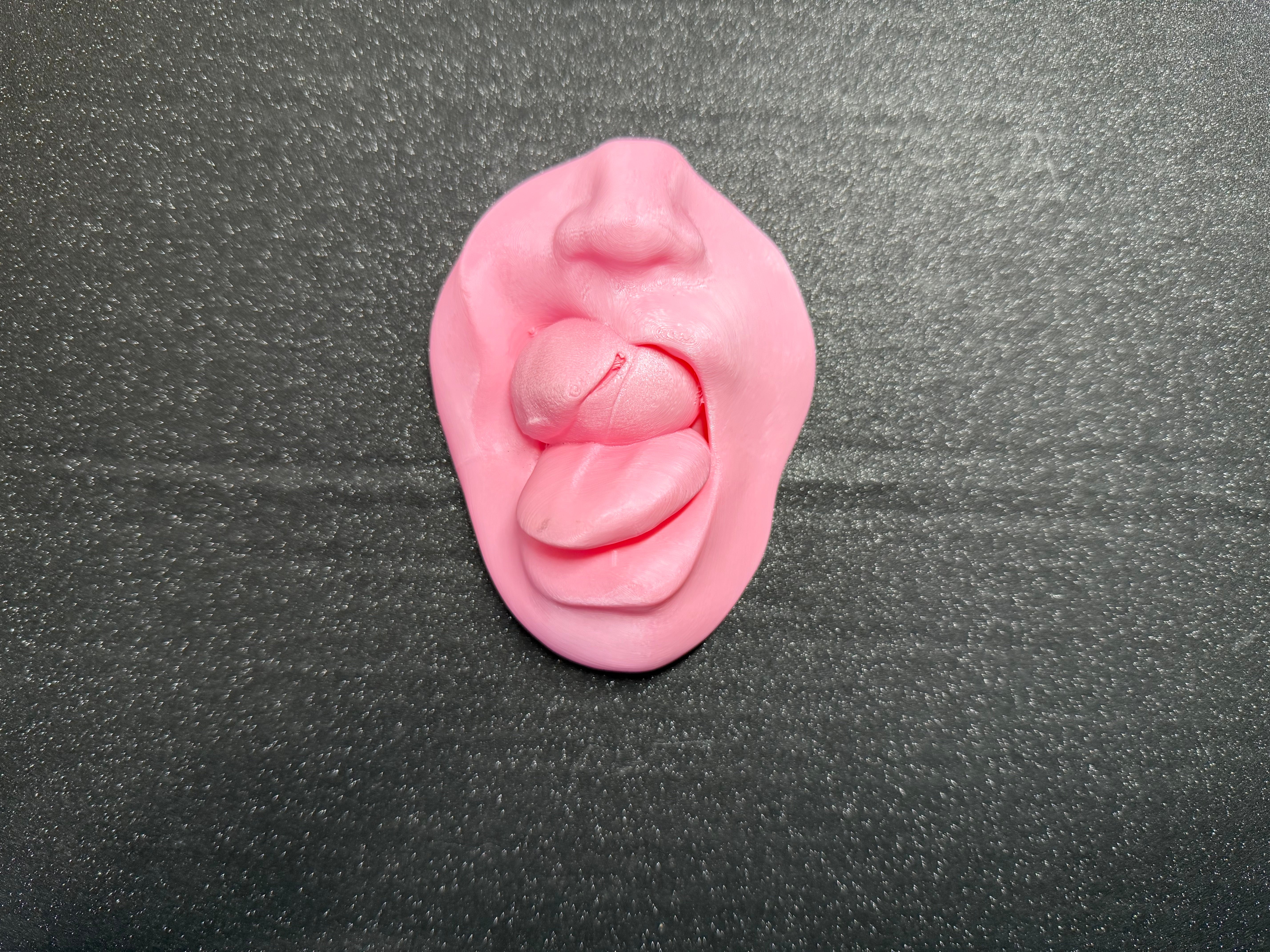 Explicit Erotic Sculpture | 3D Printed Adult Art | Bold Intimate Wall or Shelf Decor | Discreet Packaging